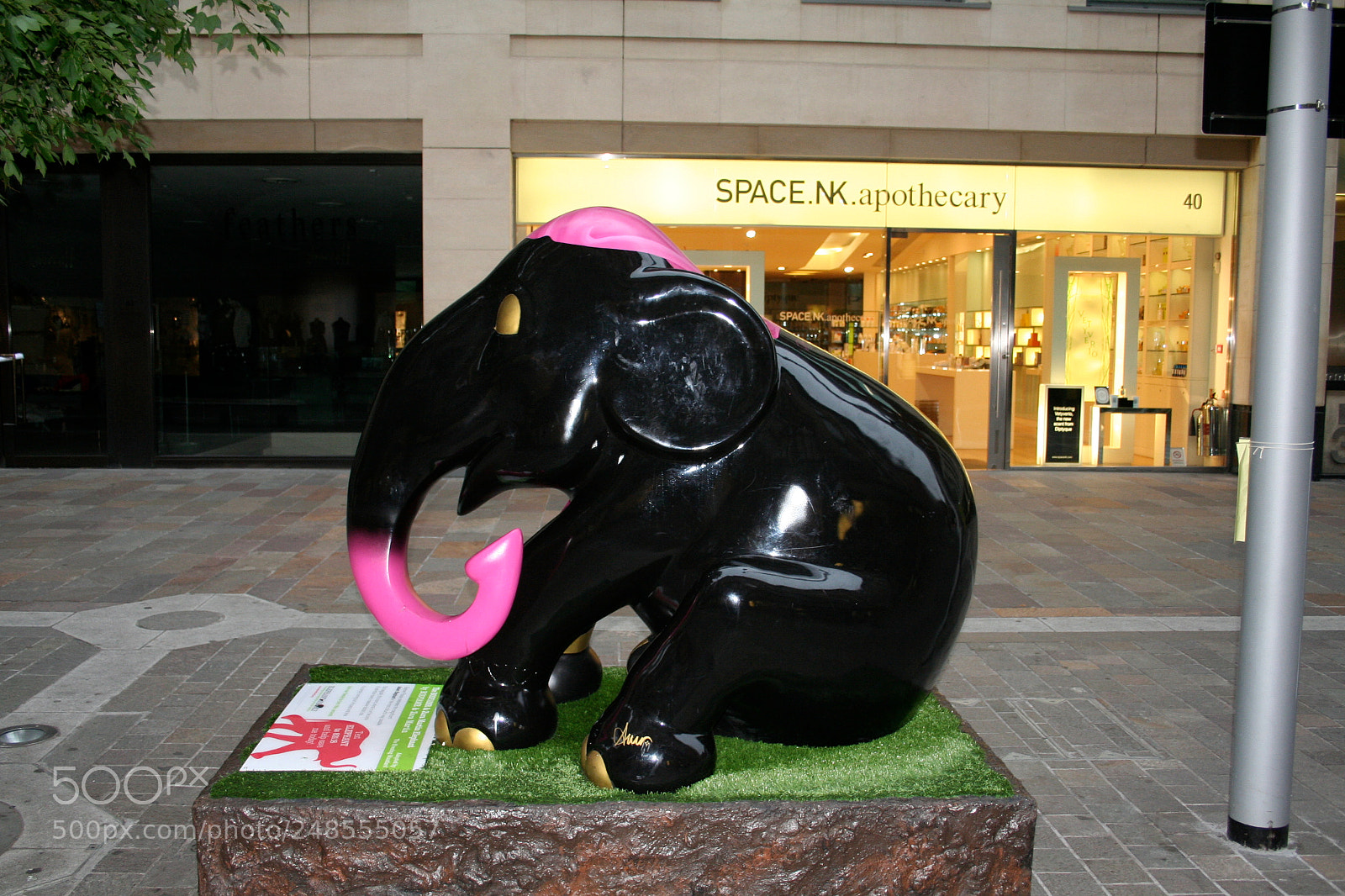 Canon EOS 350D (EOS Digital Rebel XT / EOS Kiss Digital N) sample photo. Elephant parade o photography