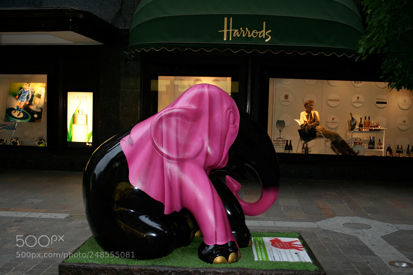 Canon EOS 350D (EOS Digital Rebel XT / EOS Kiss Digital N) sample photo. Elephant parade o photography