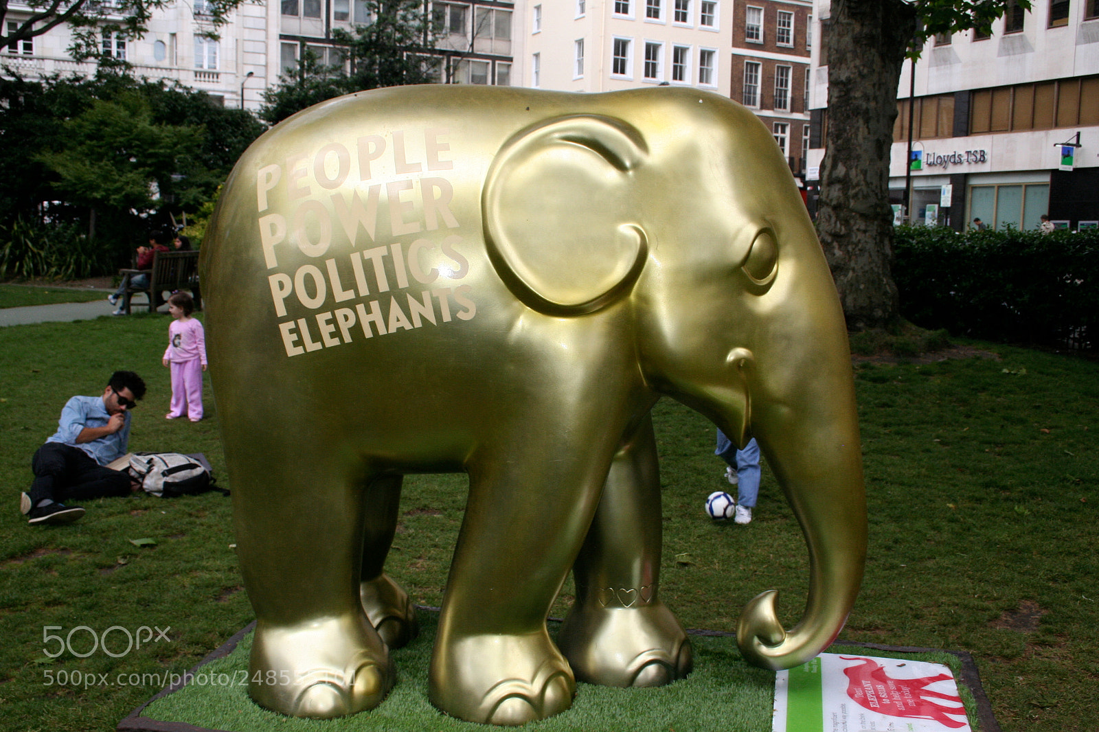 Canon EOS 350D (EOS Digital Rebel XT / EOS Kiss Digital N) sample photo. Elephant parade o photography