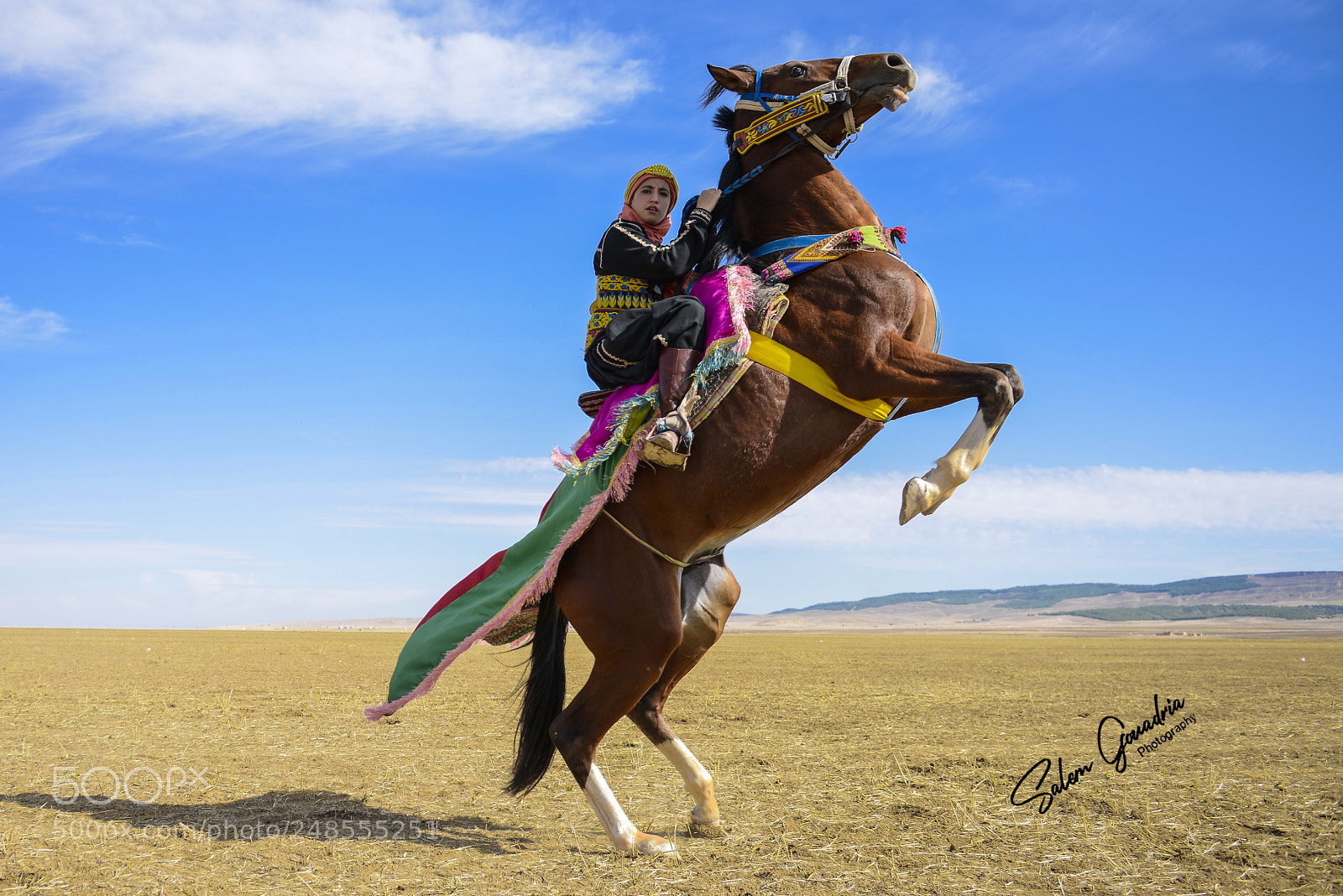 Nikon D800 sample photo. Sa photography
