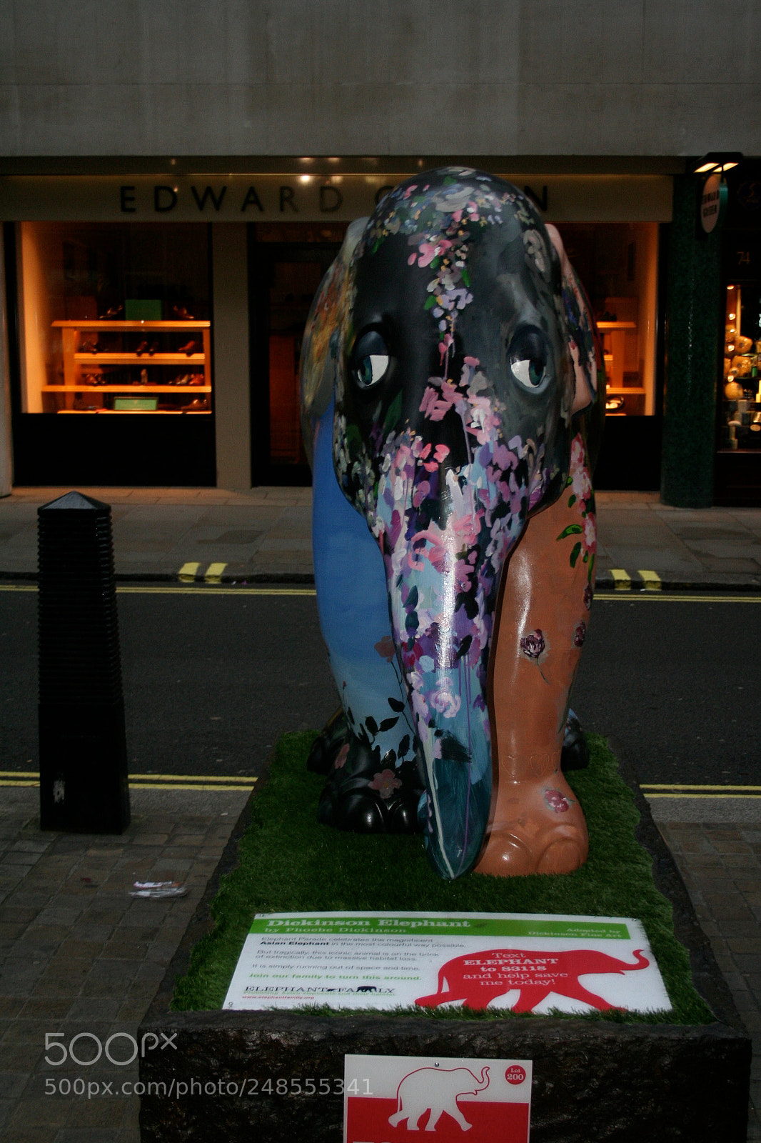 Canon EOS 350D (EOS Digital Rebel XT / EOS Kiss Digital N) sample photo. Elephant parade o photography