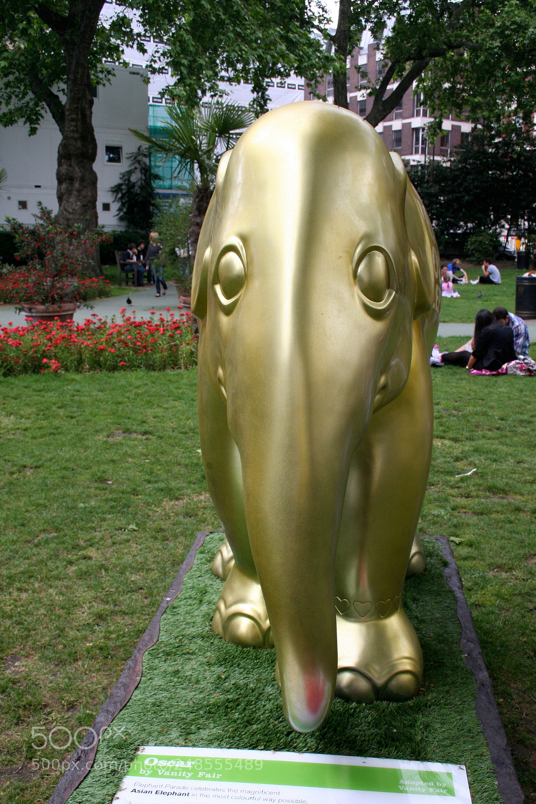 Canon EOS 350D (EOS Digital Rebel XT / EOS Kiss Digital N) sample photo. Elephant parade o photography