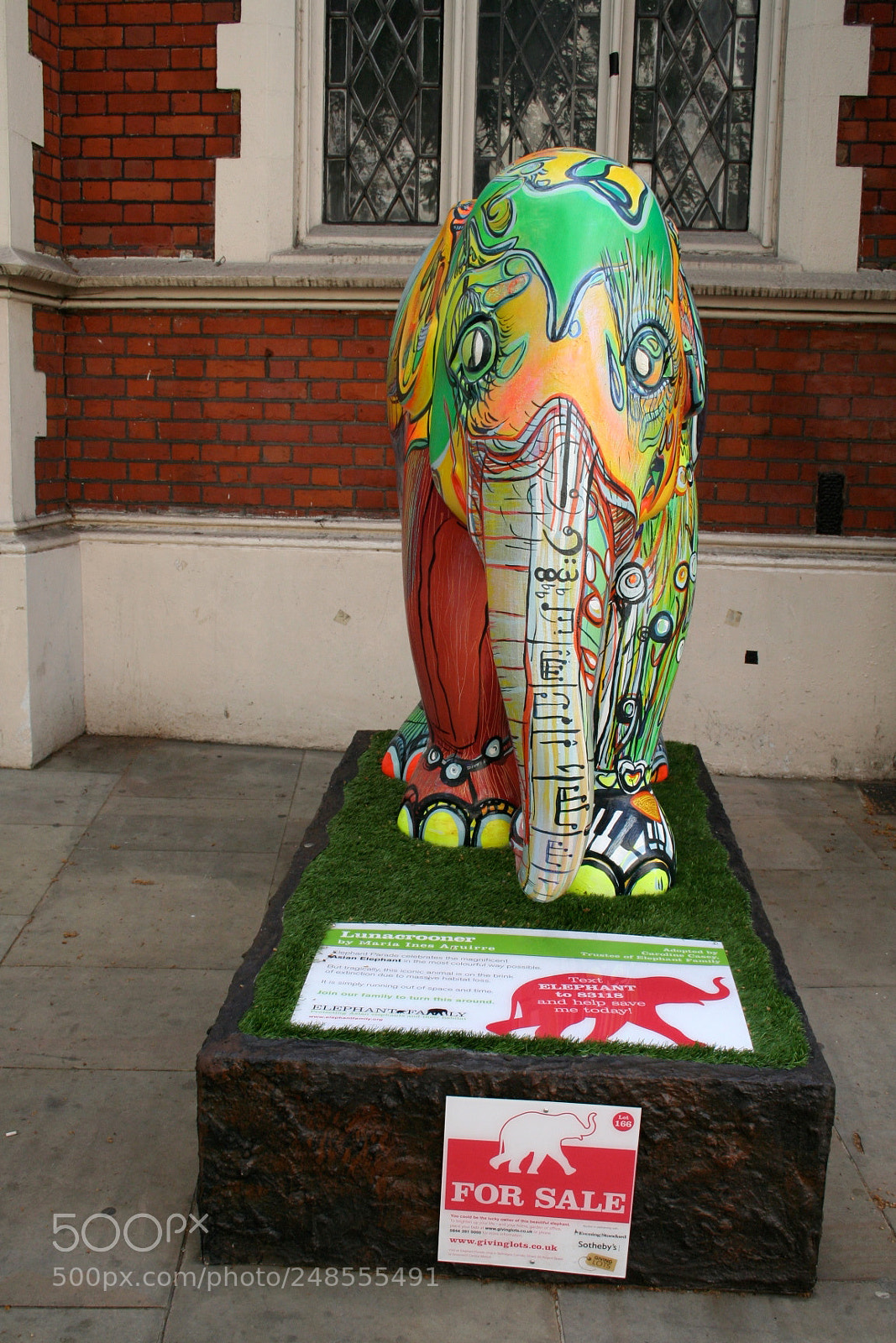 Canon EOS 350D (EOS Digital Rebel XT / EOS Kiss Digital N) sample photo. Elephant parade o photography