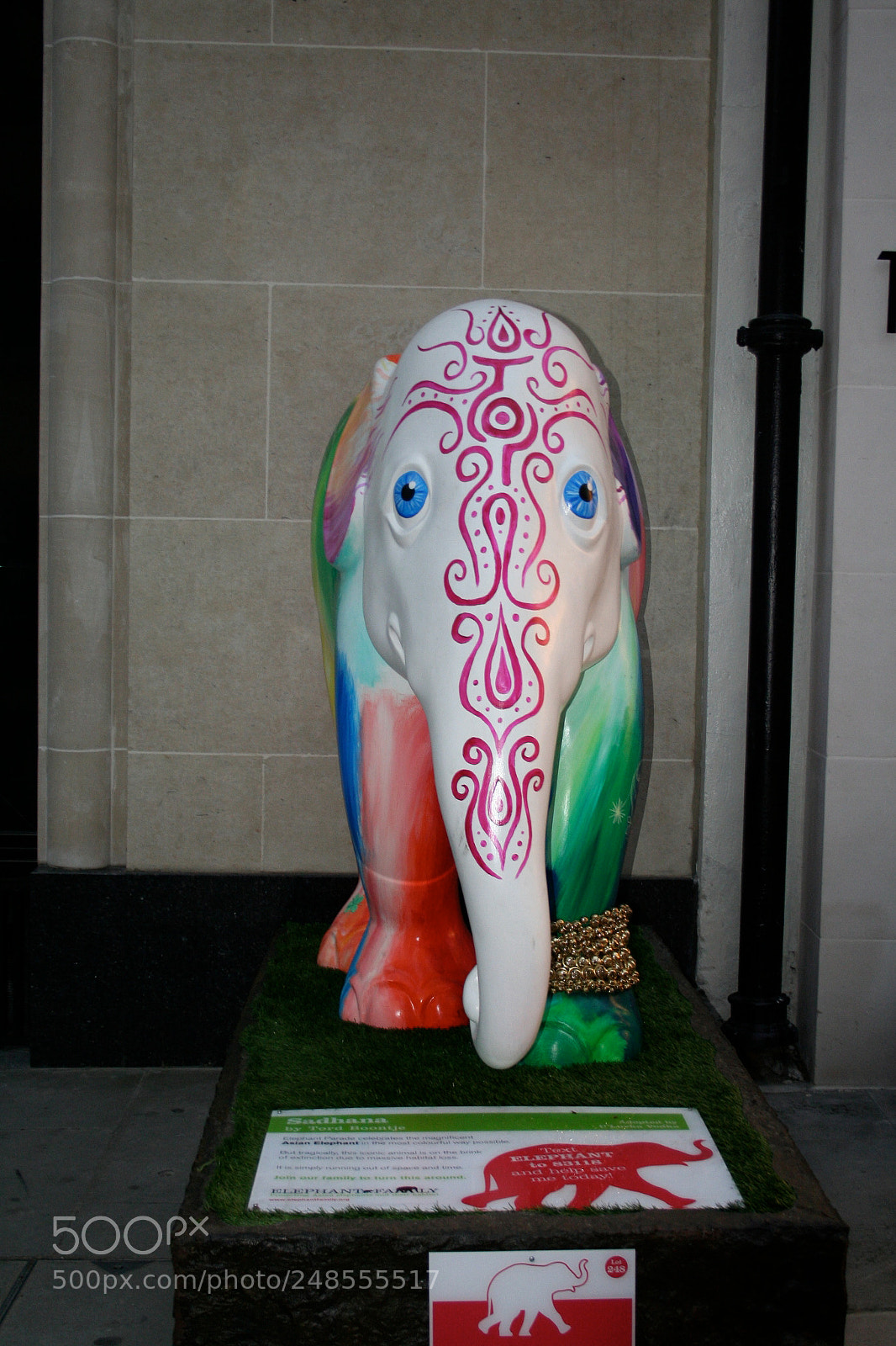 Canon EOS 350D (EOS Digital Rebel XT / EOS Kiss Digital N) sample photo. Elephant parade o photography