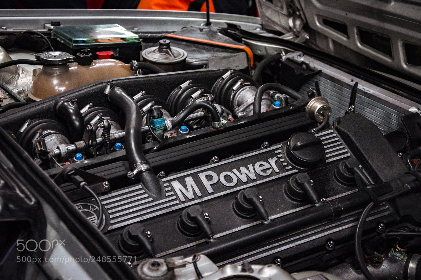 Nikon D7200 sample photo. Carporn photography