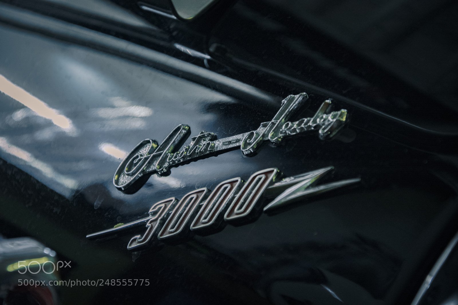 Nikon D7200 sample photo. Carporn photography