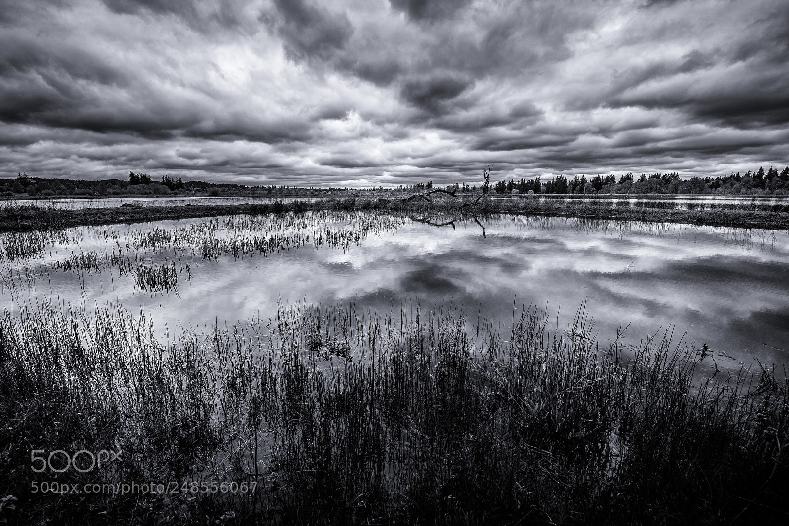 Nikon D810 sample photo. Reflect photography
