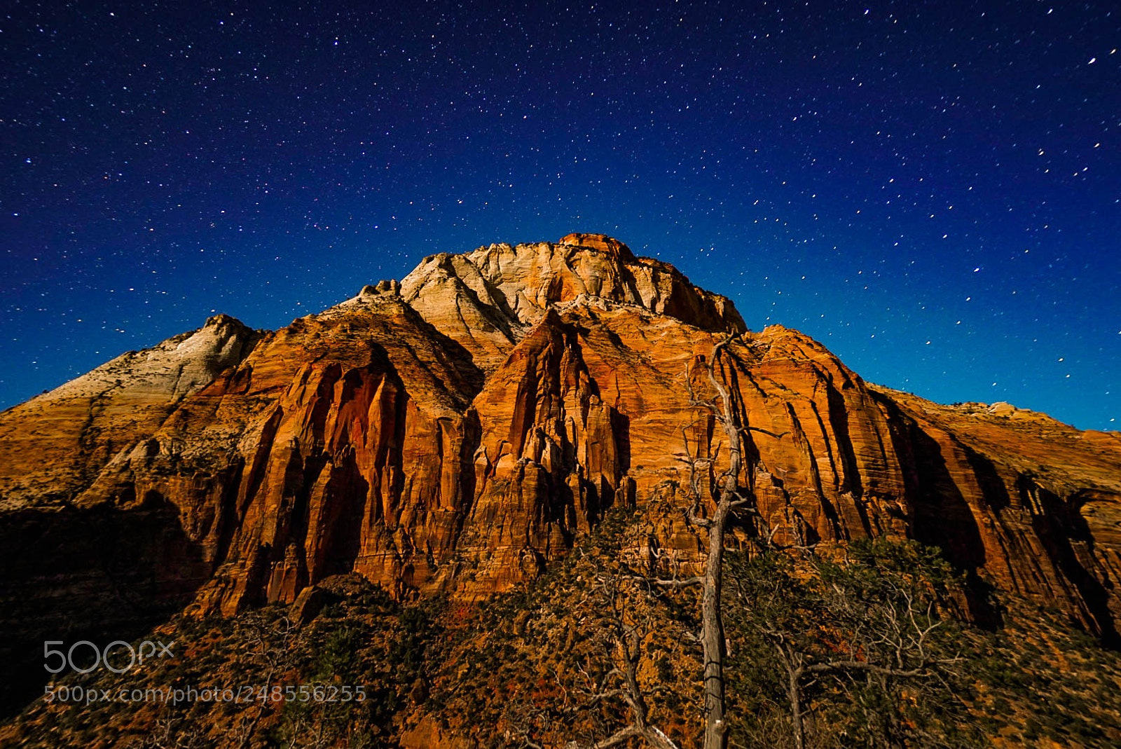 Sony a6300 sample photo. Zion national park photography
