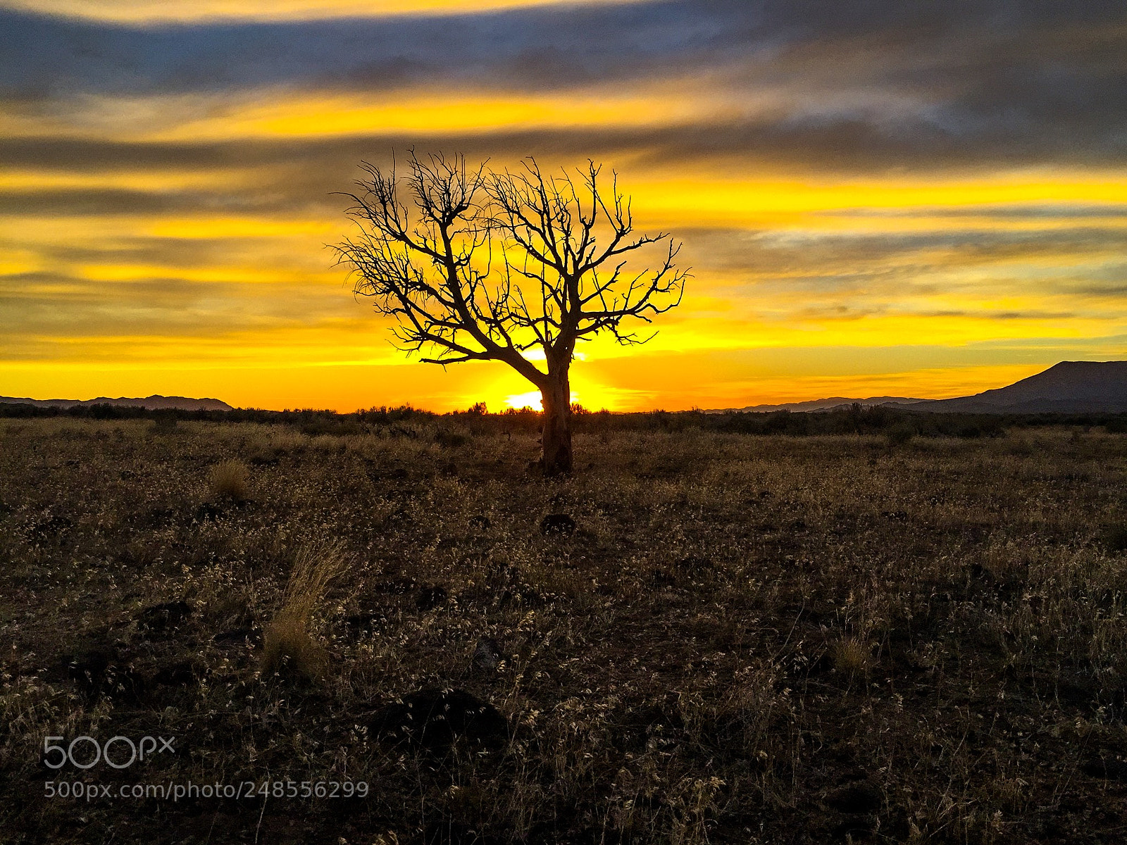 Apple iPhone 6 Plus sample photo. Desert sunset photography