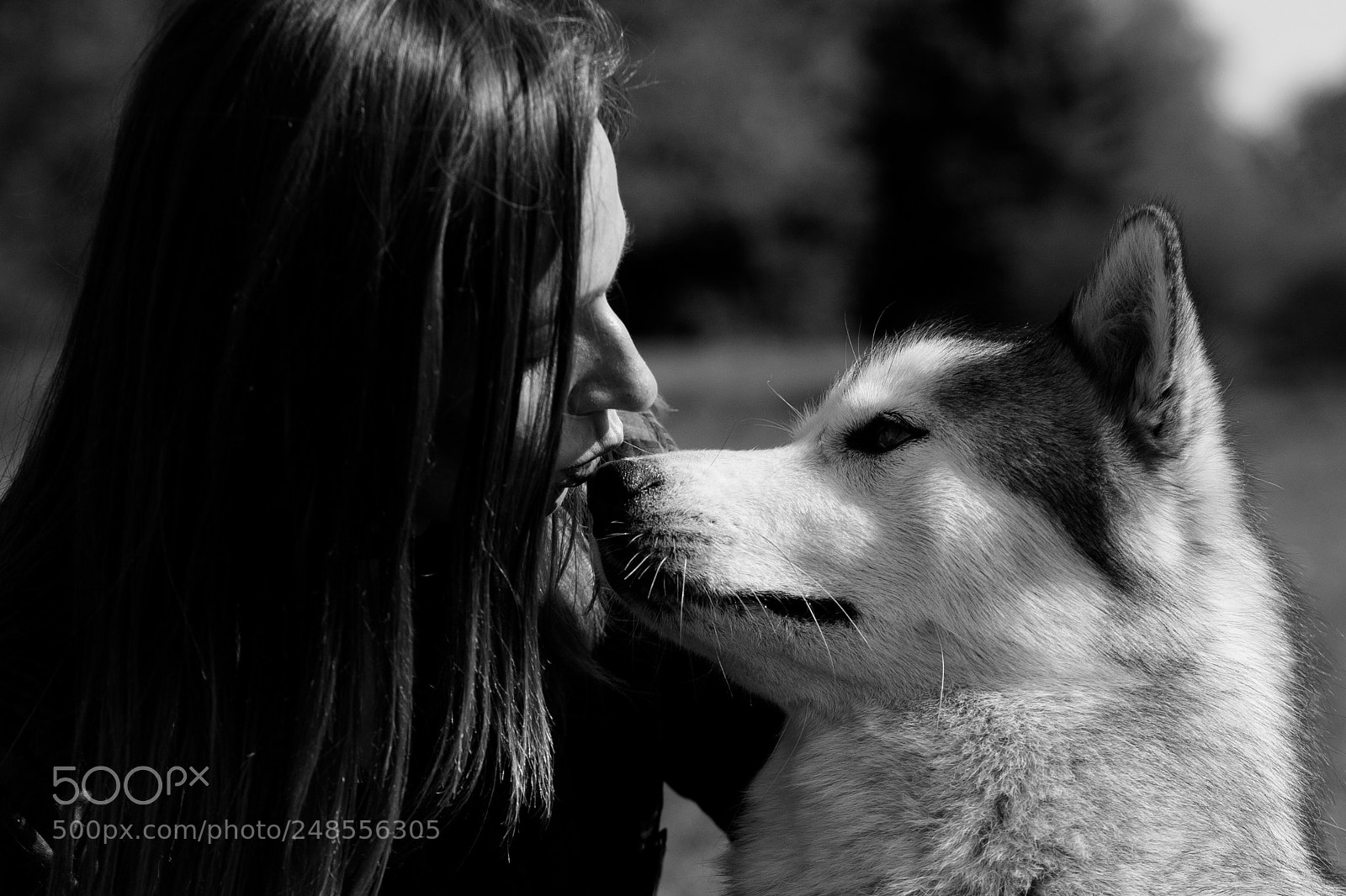 Canon EOS 5D sample photo. Love photography