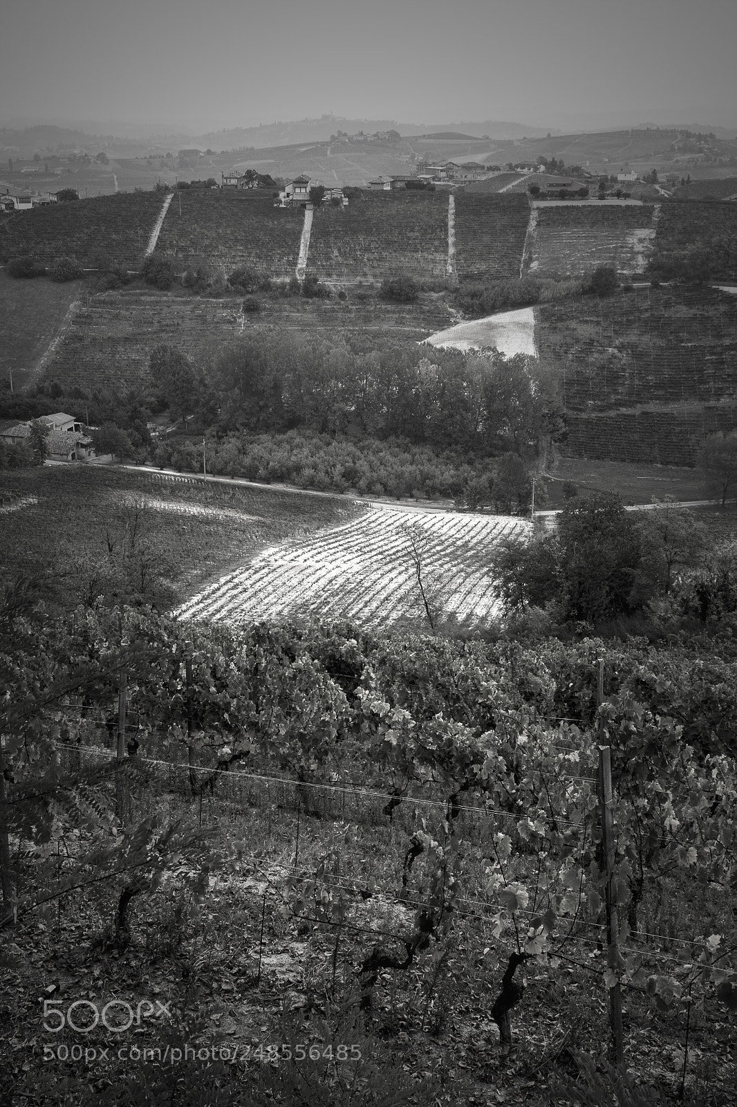 Nikon D7200 sample photo. Langhe photography