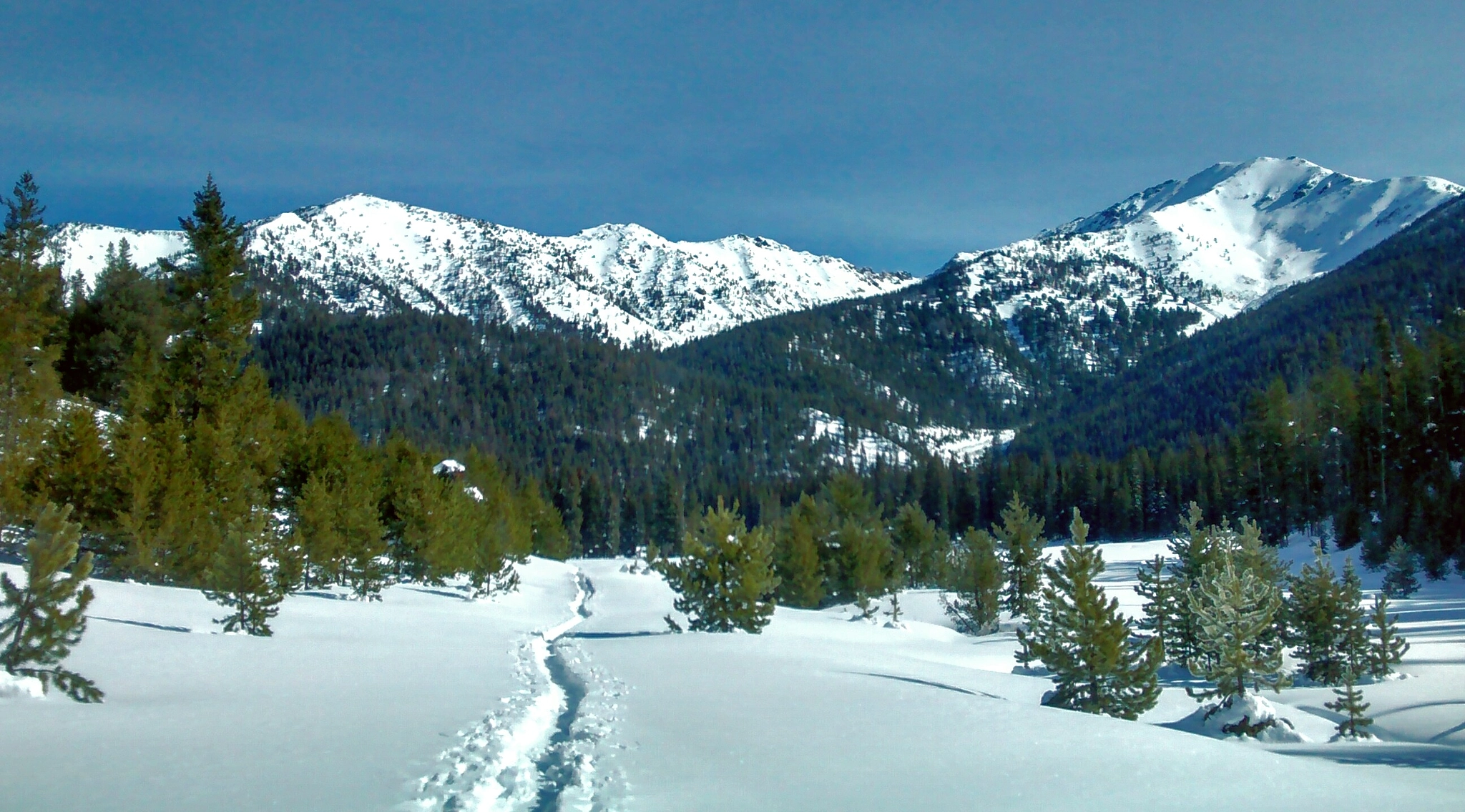 Motorola Moto G (1st Gen) sample photo. Hiking out senate creek meadows photography