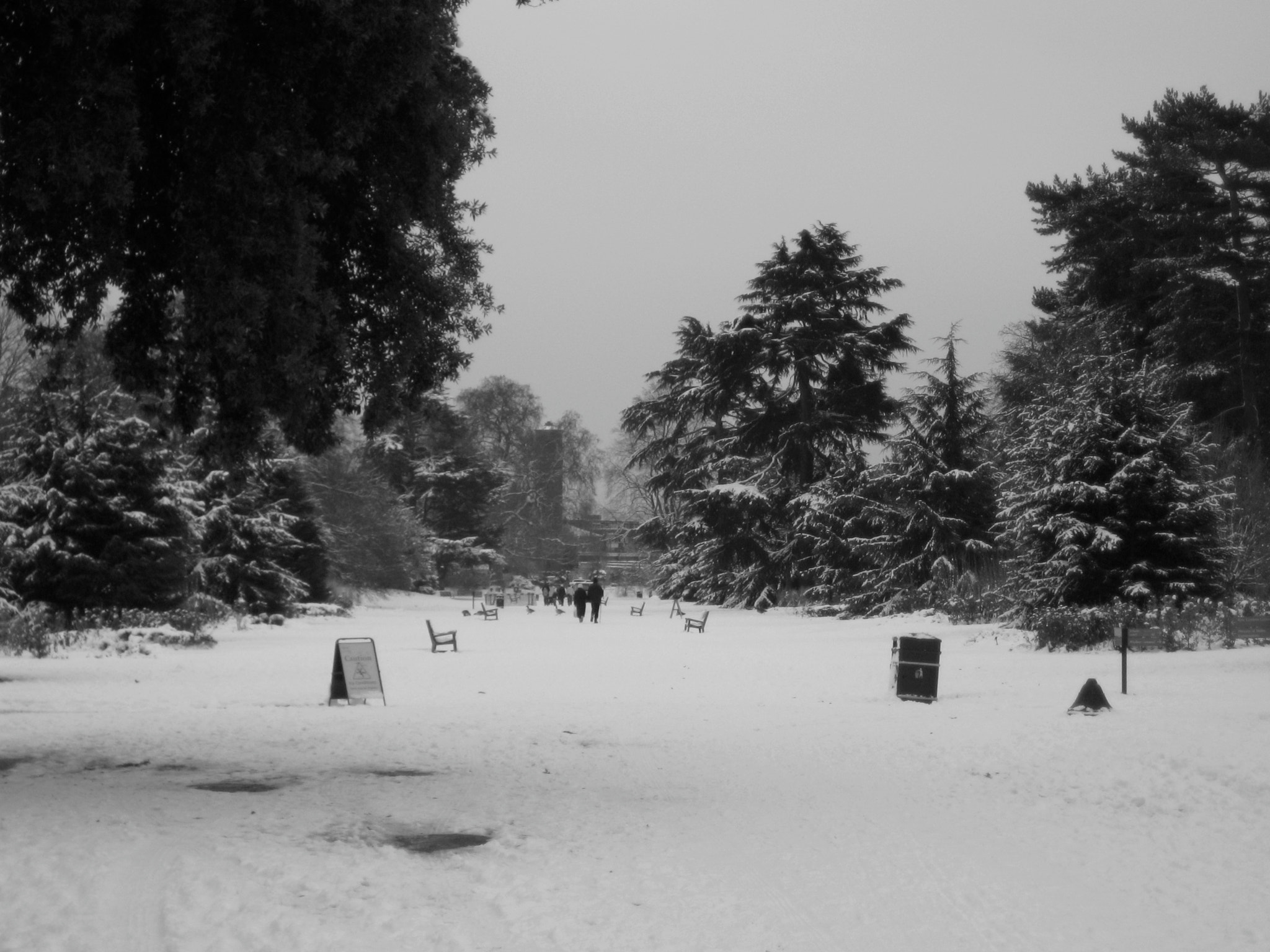 Canon DIGITAL IXUS 75 sample photo. Richmond park photography