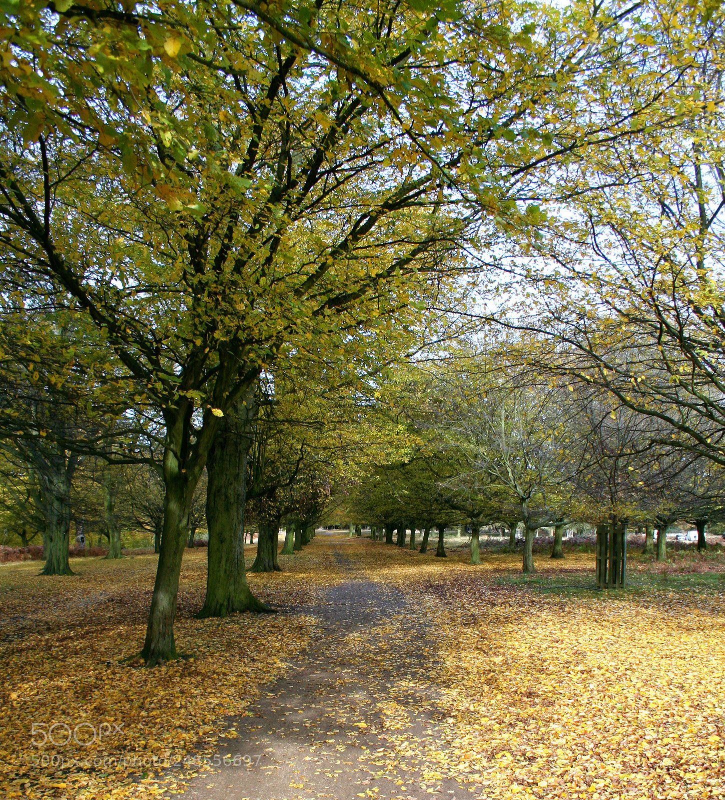 Canon EOS 350D (EOS Digital Rebel XT / EOS Kiss Digital N) sample photo. Richmond park photography