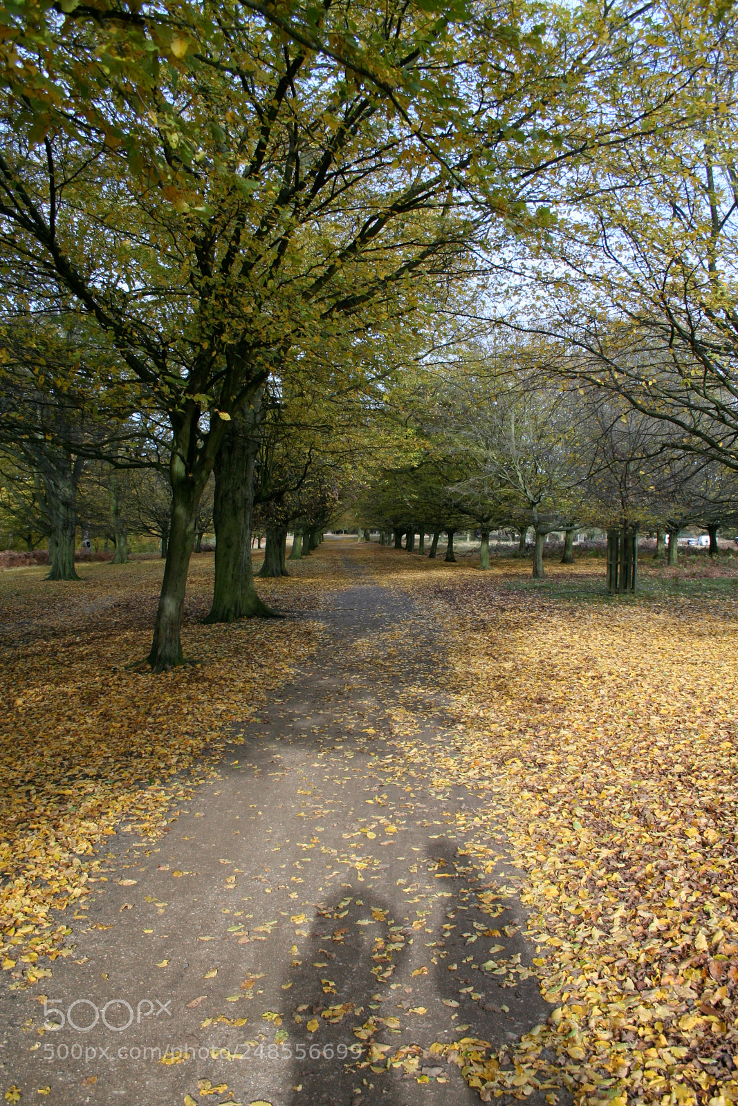 Canon EOS 350D (EOS Digital Rebel XT / EOS Kiss Digital N) sample photo. Richmond park photography