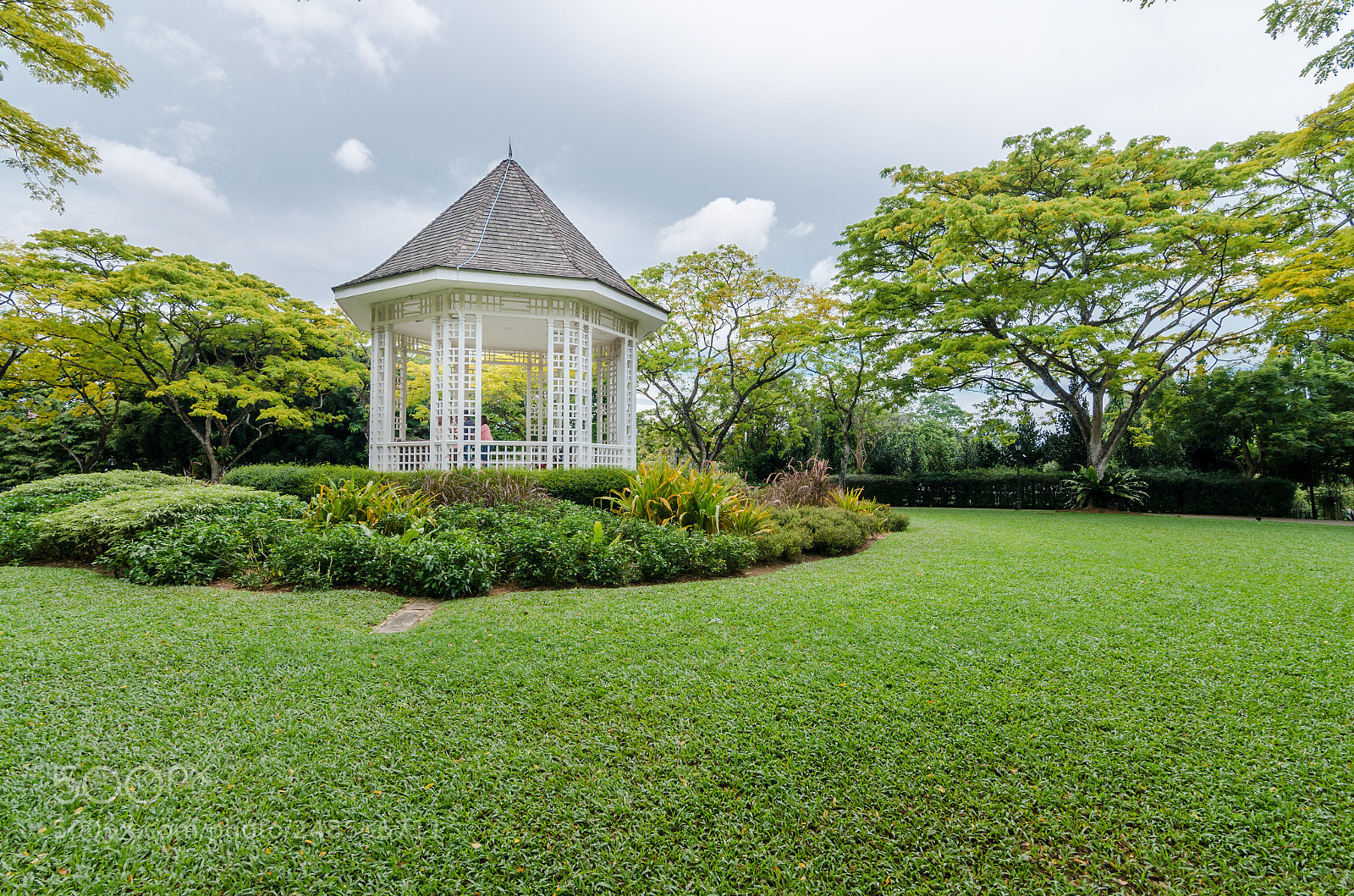 Nikon D7000 sample photo. Singapore botanical gardens. photography