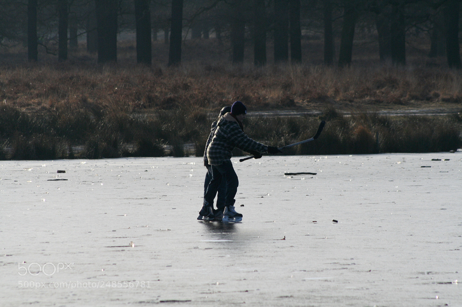 Canon EOS 350D (EOS Digital Rebel XT / EOS Kiss Digital N) sample photo. Richmond park photography