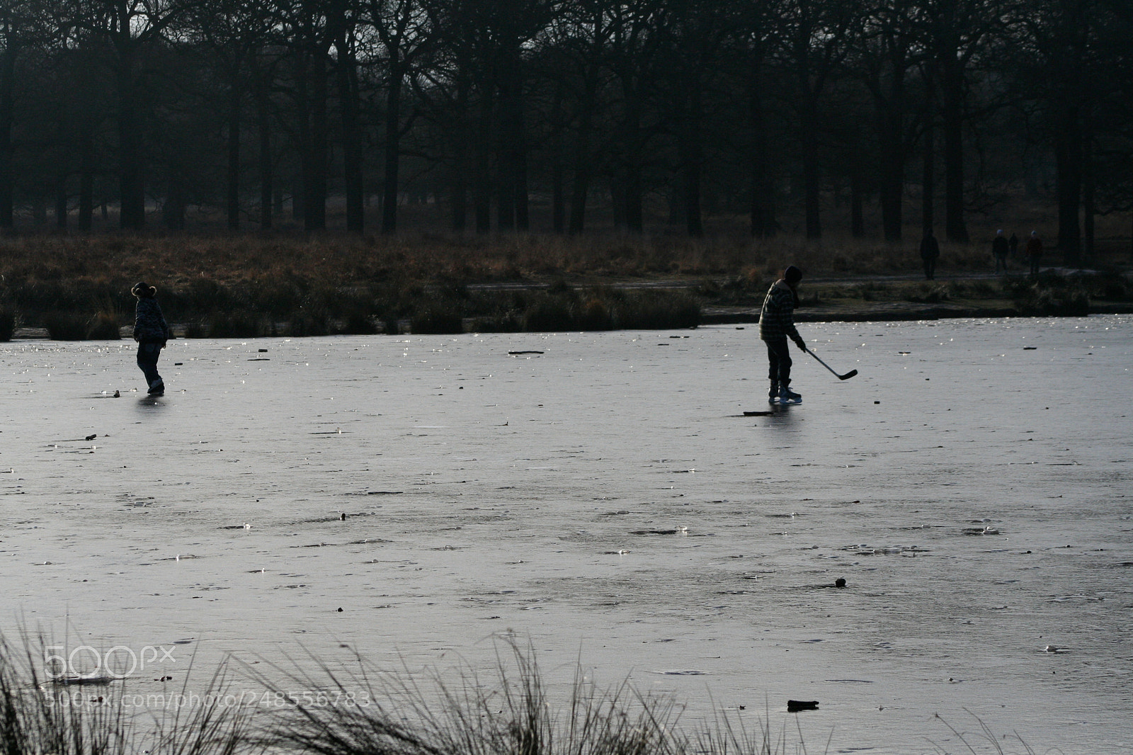 Canon EOS 350D (EOS Digital Rebel XT / EOS Kiss Digital N) sample photo. Richmond park photography