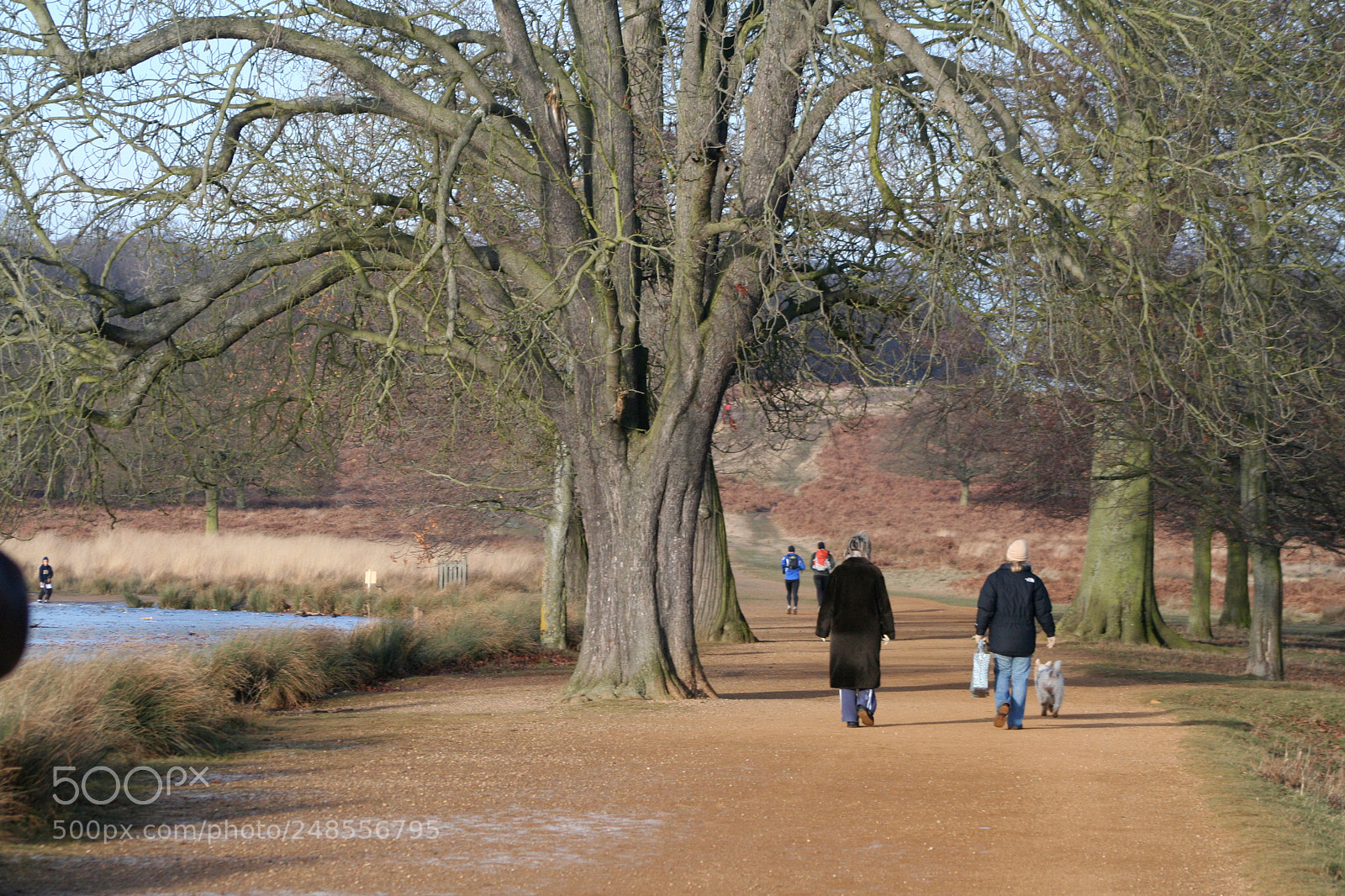 Canon EOS 350D (EOS Digital Rebel XT / EOS Kiss Digital N) sample photo. Richmond park photography