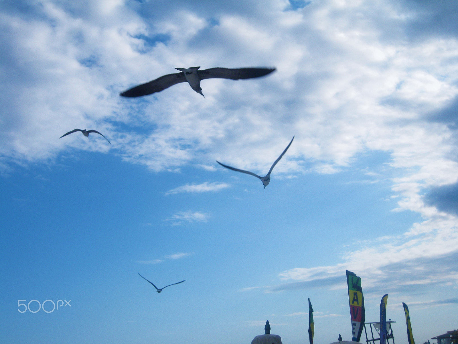 Canon PowerShot SD790 IS (Digital IXUS 90 IS / IXY Digital 95 IS) sample photo. Vuelo sobre cancun photography