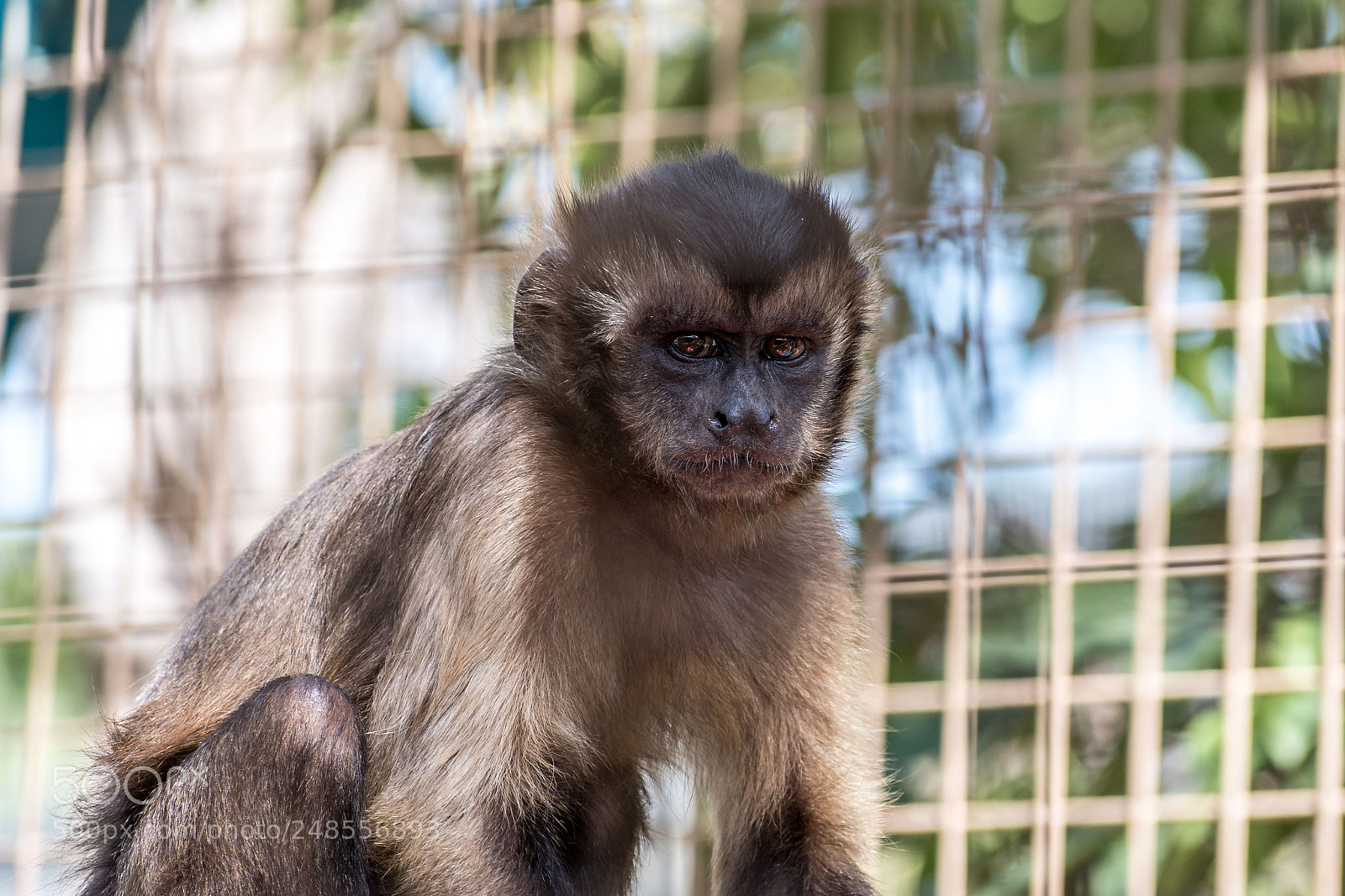 Nikon D5600 sample photo. Not impressed photography