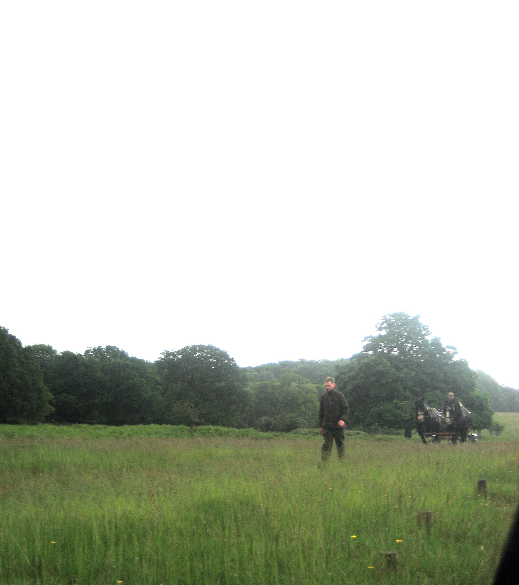 Canon DIGITAL IXUS 75 sample photo. Richmond park photography