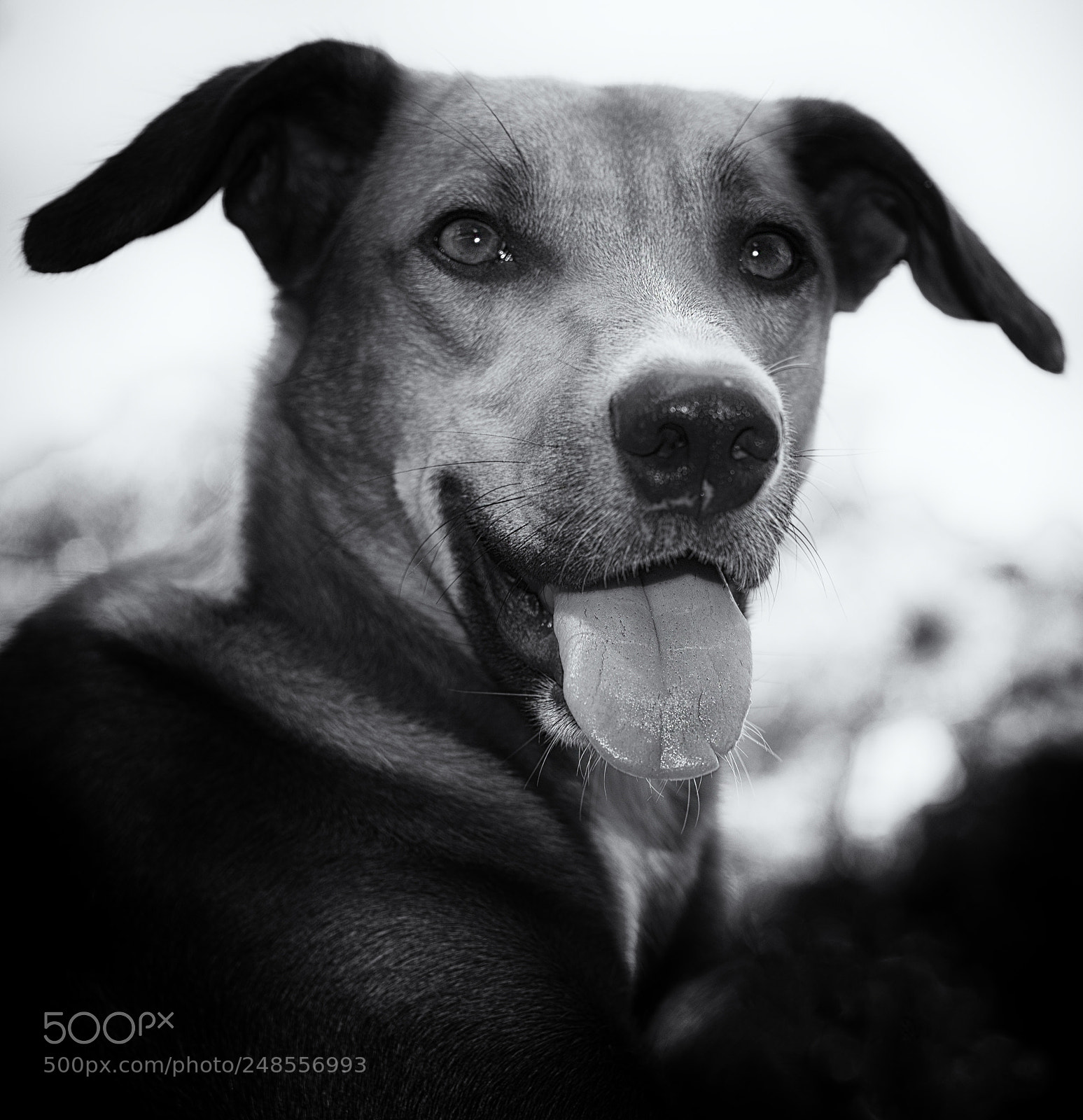 Nikon D610 sample photo. Jenga portrait photography