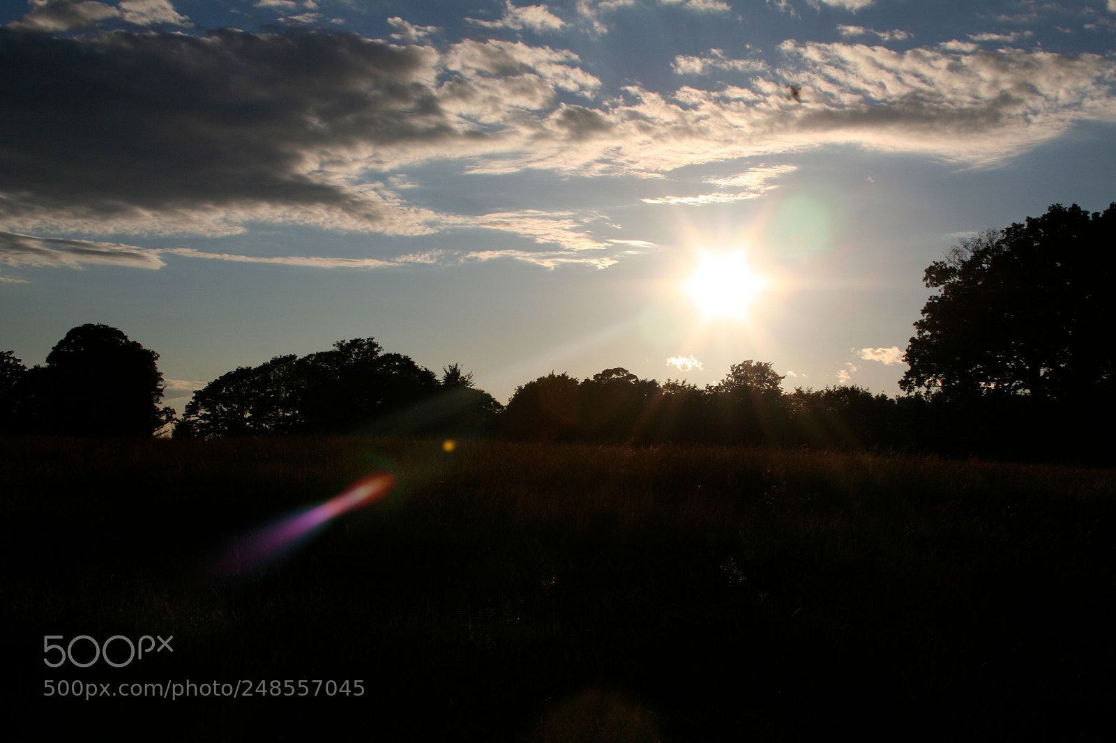 Canon EOS 350D (EOS Digital Rebel XT / EOS Kiss Digital N) sample photo. Richmond park photography