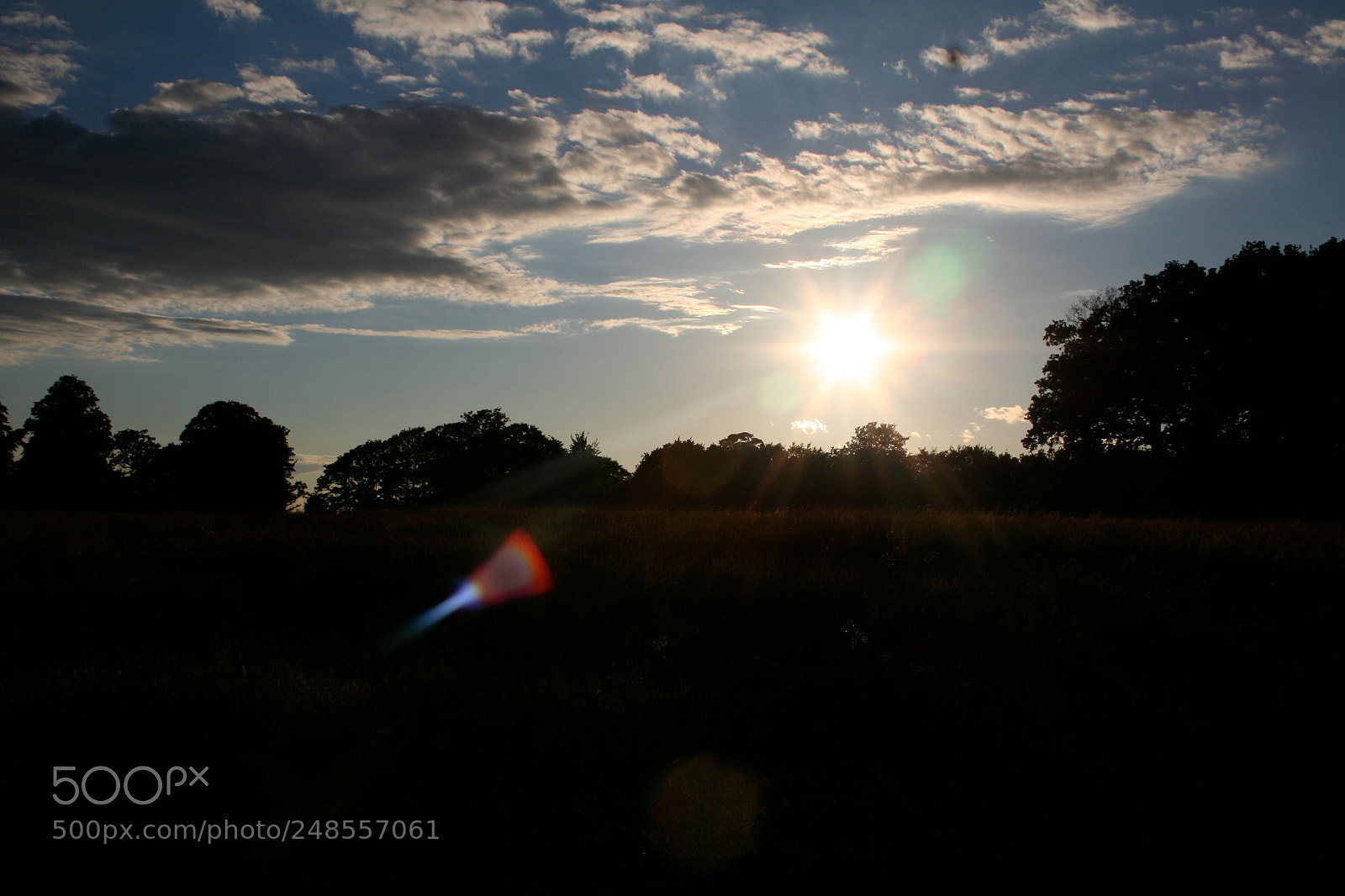 Canon EOS 350D (EOS Digital Rebel XT / EOS Kiss Digital N) sample photo. Richmond park photography