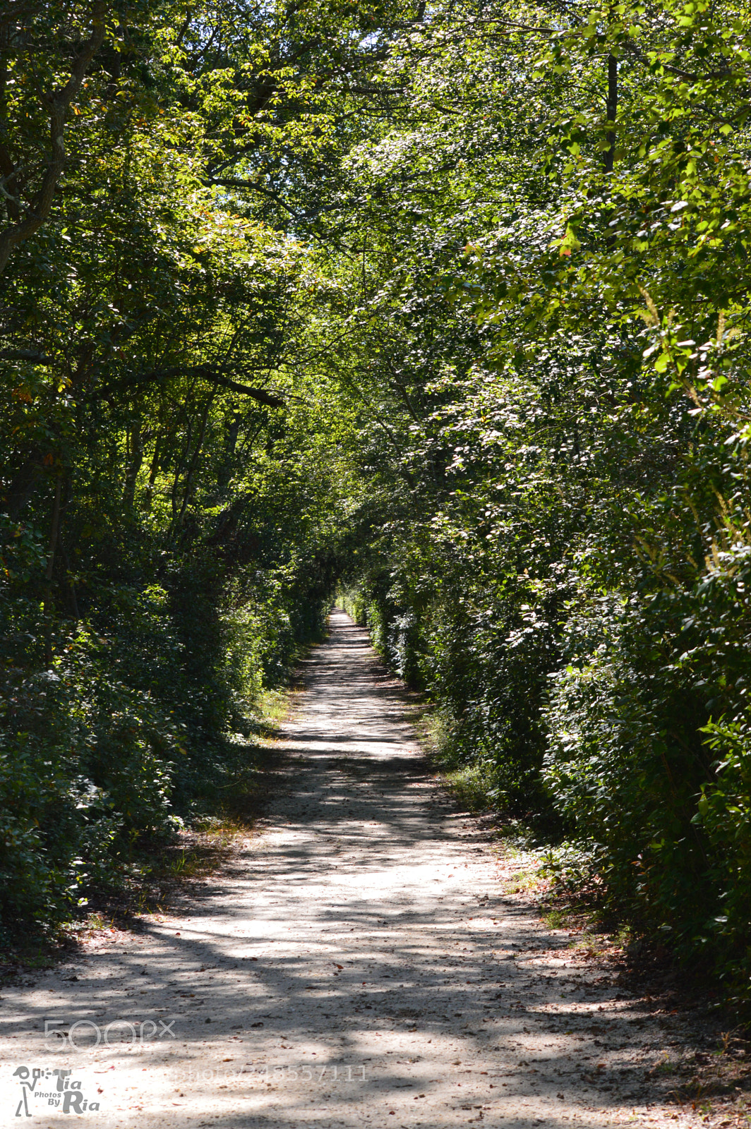 Nikon D3200 sample photo. Beaten path photography