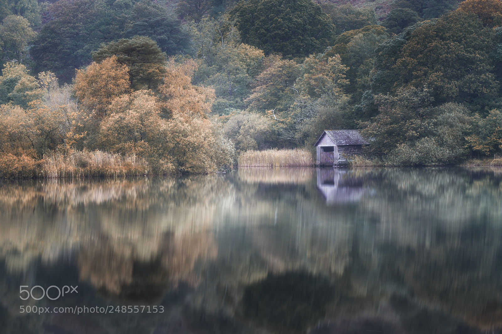 Nikon Df sample photo. Rydal water photography