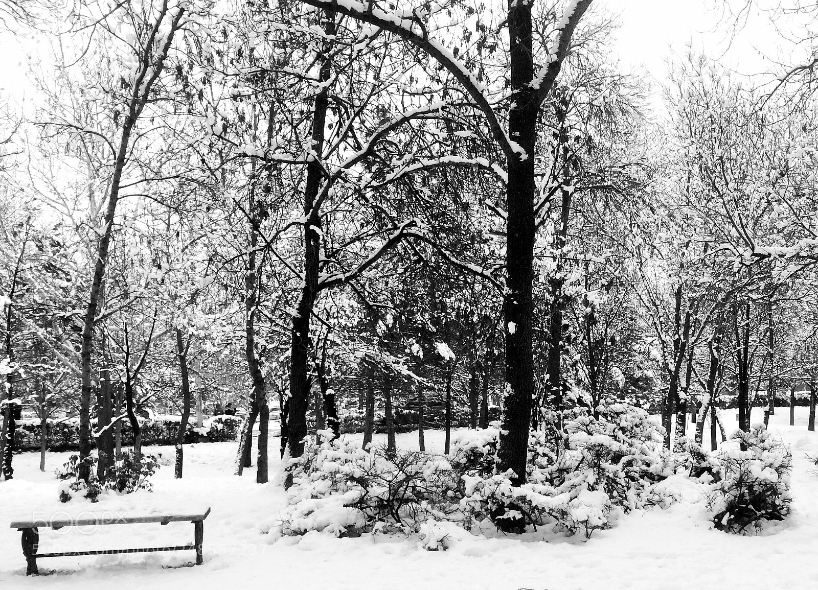 Apple iPhone 5s sample photo. Snow photography