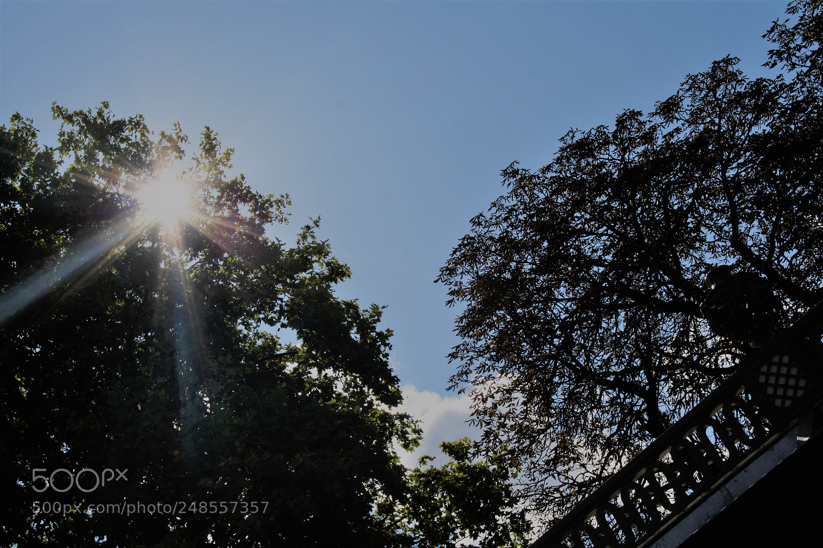 Canon EOS 1000D (EOS Digital Rebel XS / EOS Kiss F) sample photo. () photography