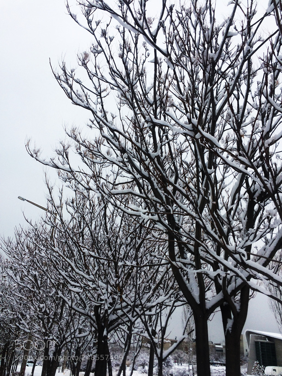 Apple iPhone 5s sample photo. Snowing photography