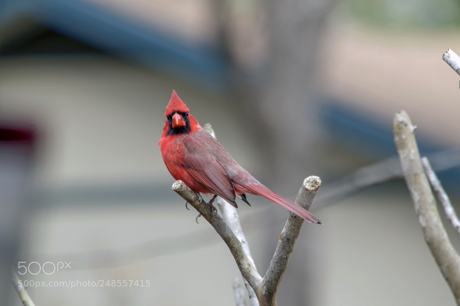 Nikon D3200 sample photo. Nice to see ya photography