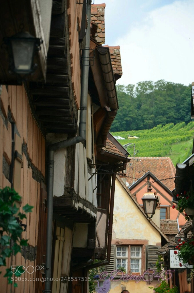 Nikon D5100 sample photo. Alsace (5) photography