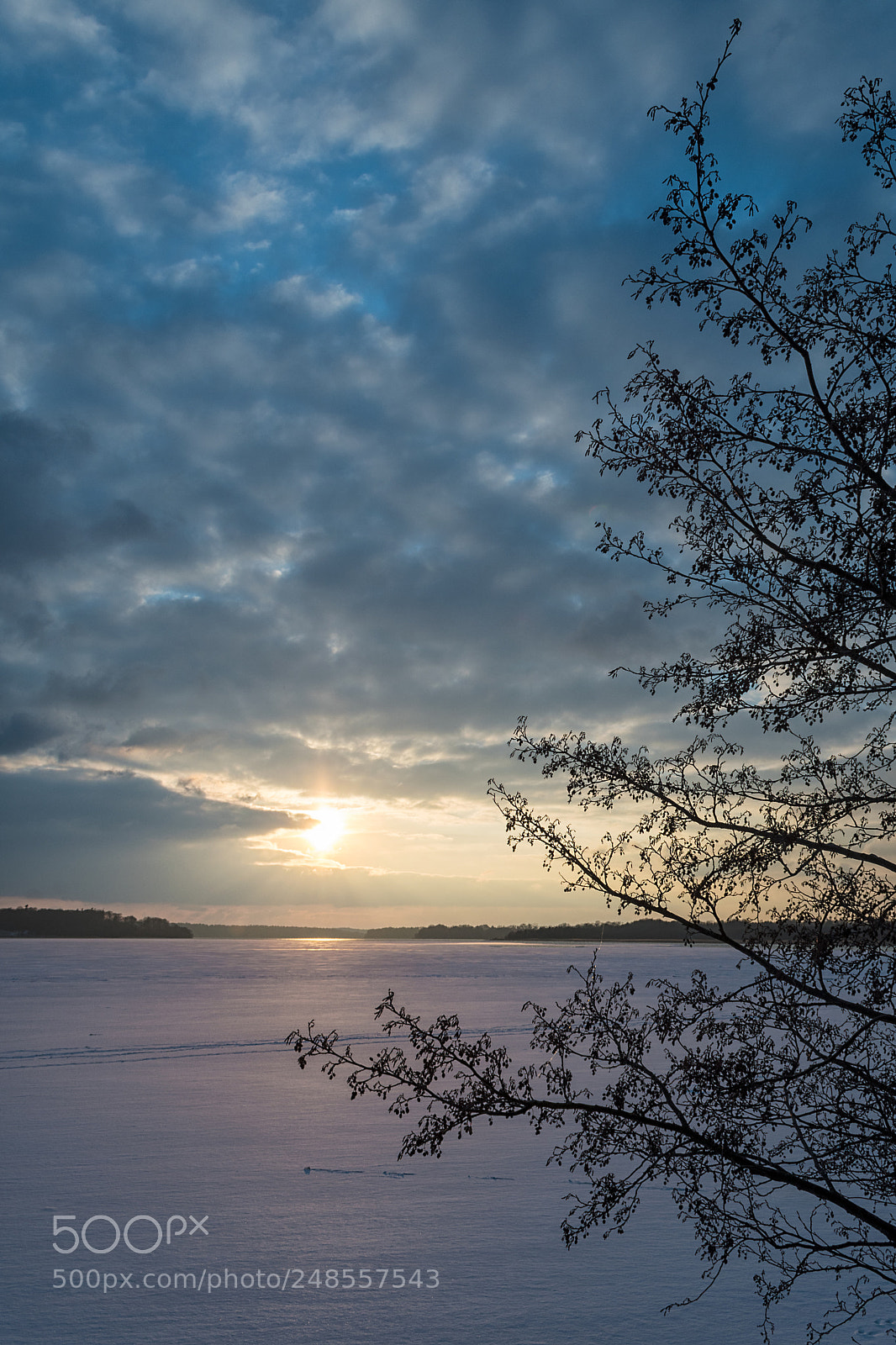 Nikon D500 sample photo. Winter sunset photography