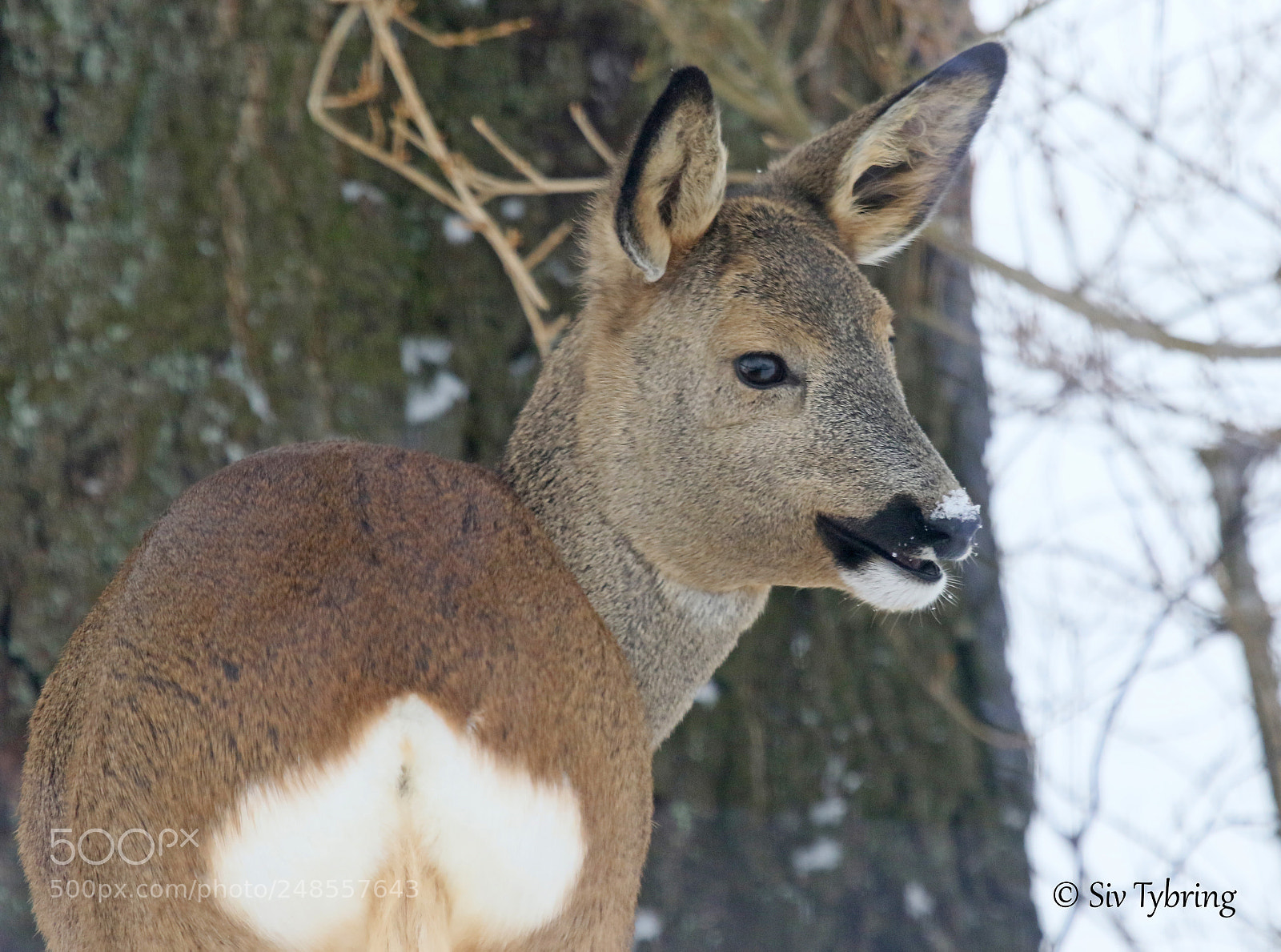 Canon EOS 7D Mark II sample photo. Smiler photography