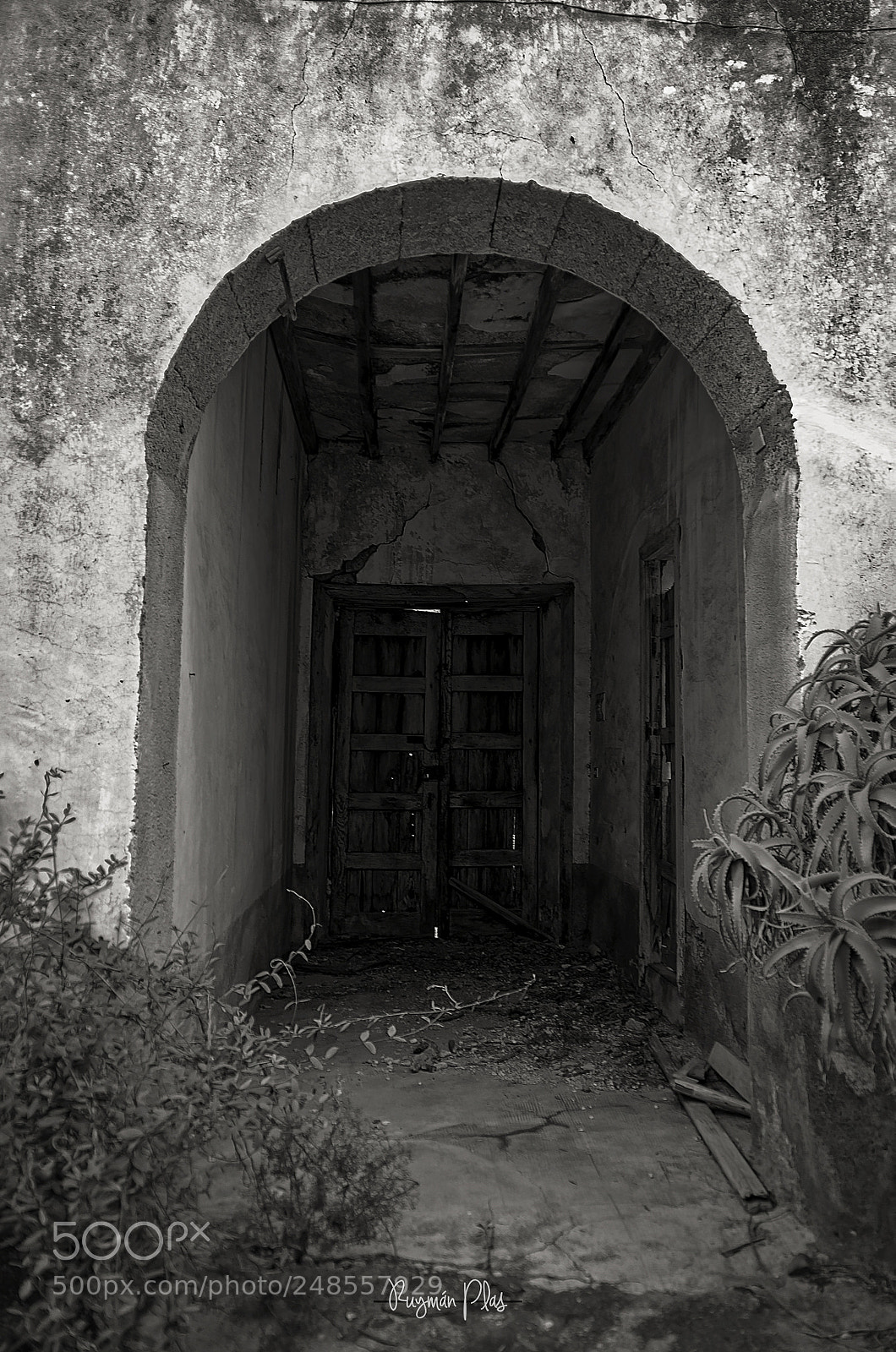 Nikon D5100 sample photo. No man is an photography