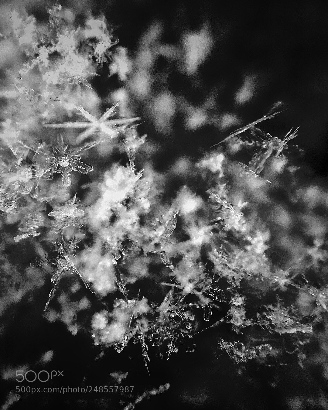Apple iPhone 6s Plus sample photo. Snowflakes photography
