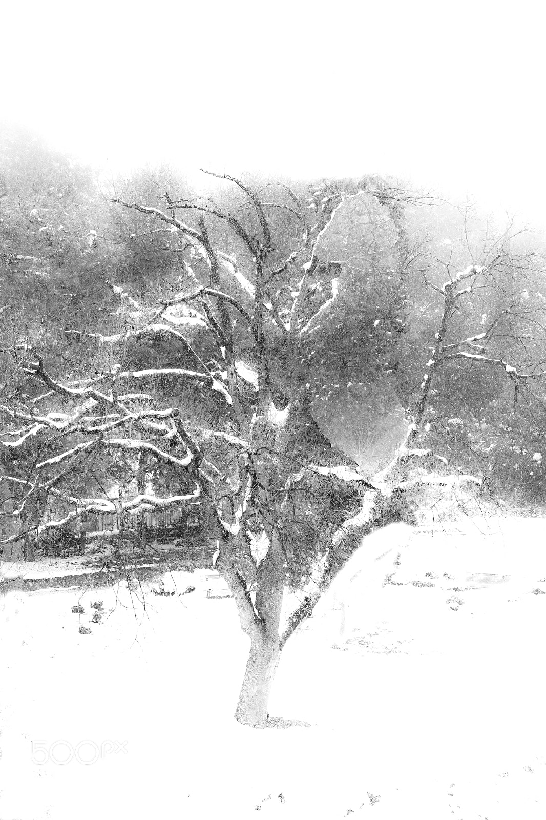 Canon EOS 700D (EOS Rebel T5i / EOS Kiss X7i) sample photo. Minimal snow photography