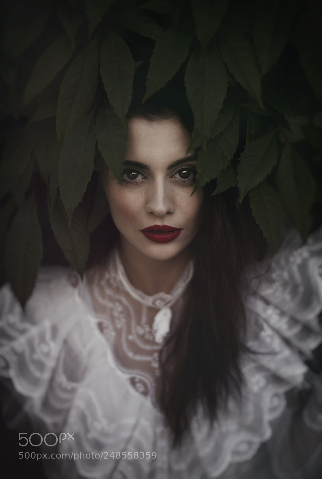 Nikon D700 sample photo. Eyes photography