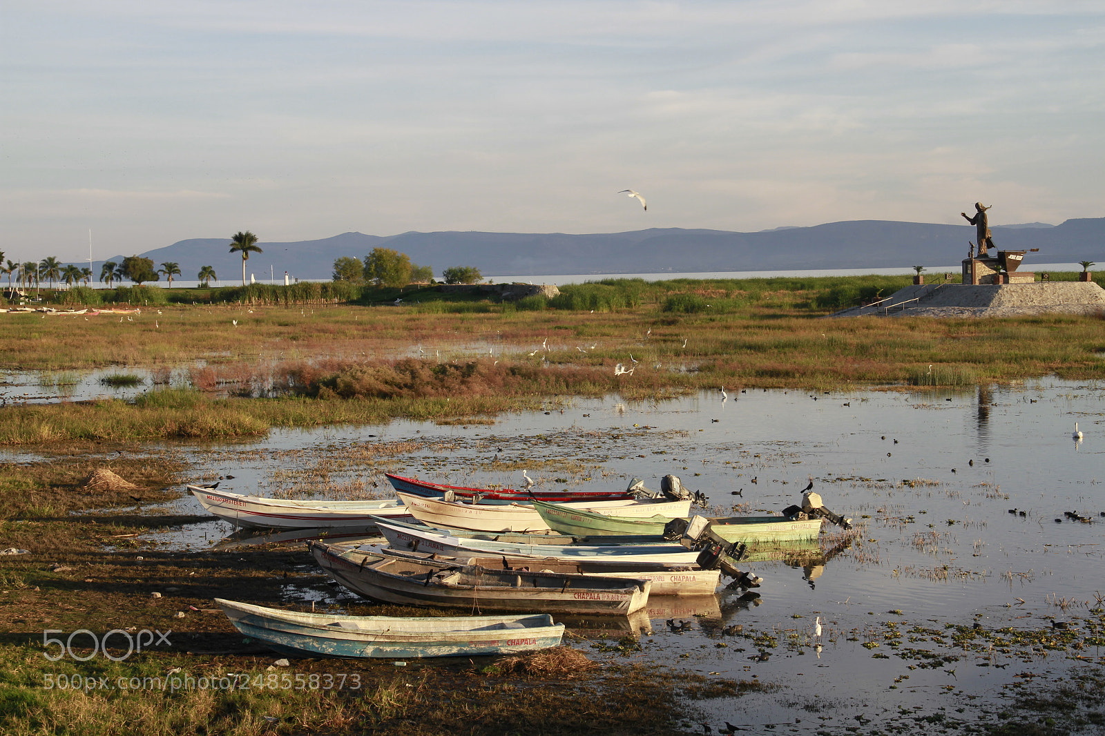 Canon EF-S 18-135mm F3.5-5.6 IS sample photo. Mgl photography