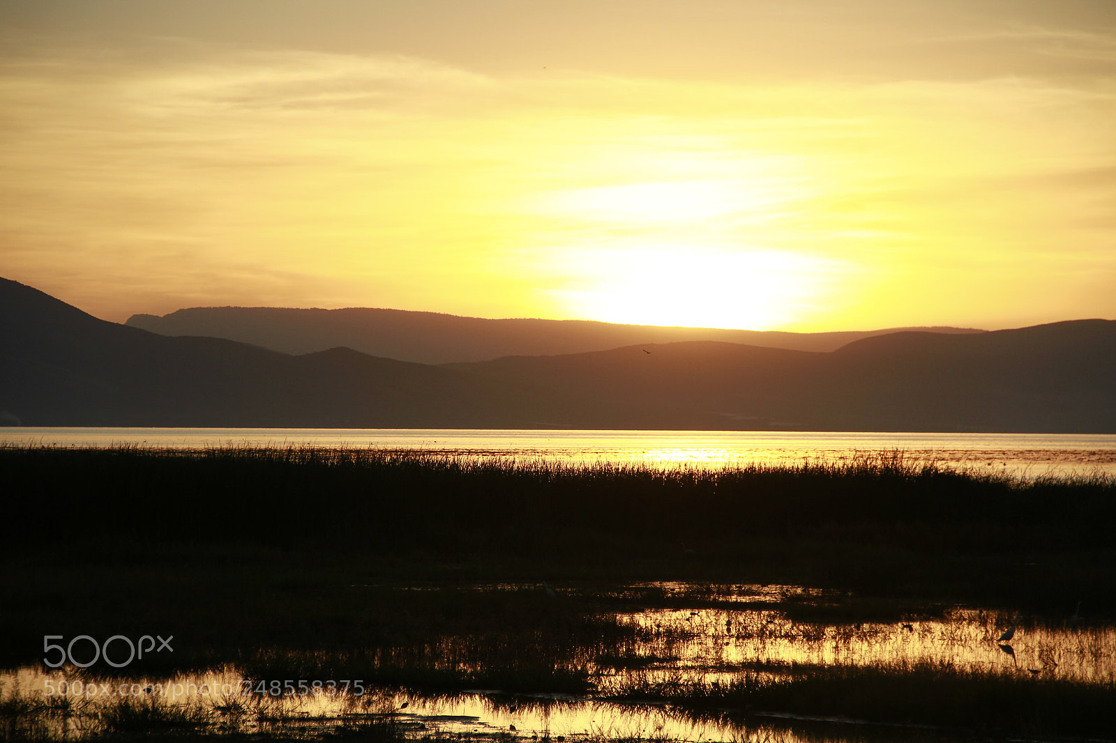 Canon EF-S 18-135mm F3.5-5.6 IS sample photo. Mgl photography