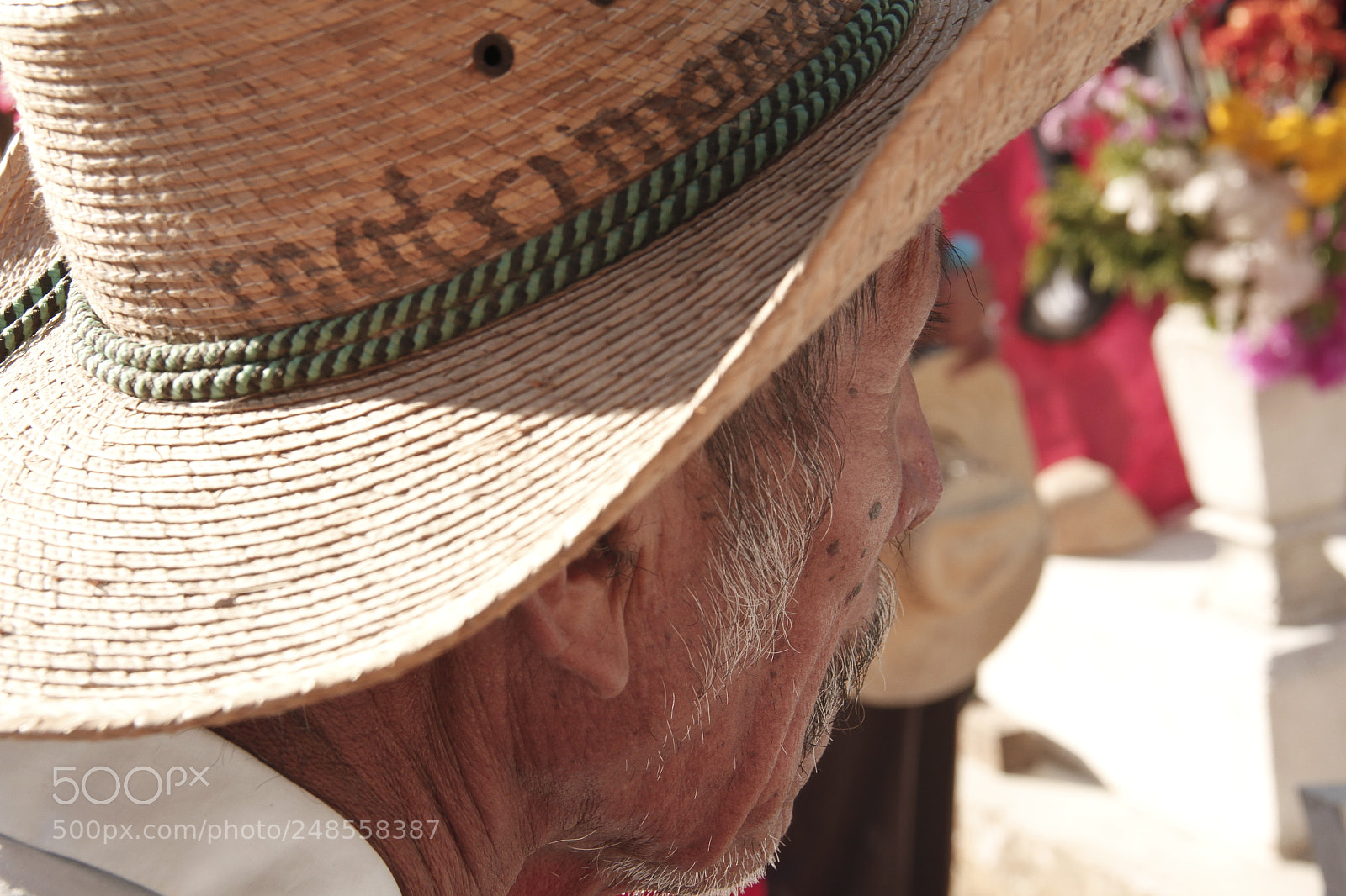 Canon EF-S 18-135mm F3.5-5.6 IS sample photo. Mgl photography