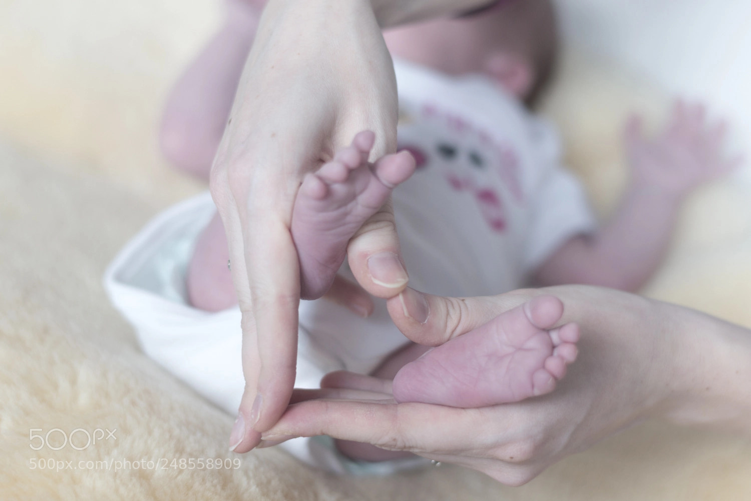 Nikon D800 sample photo. Untitled photography