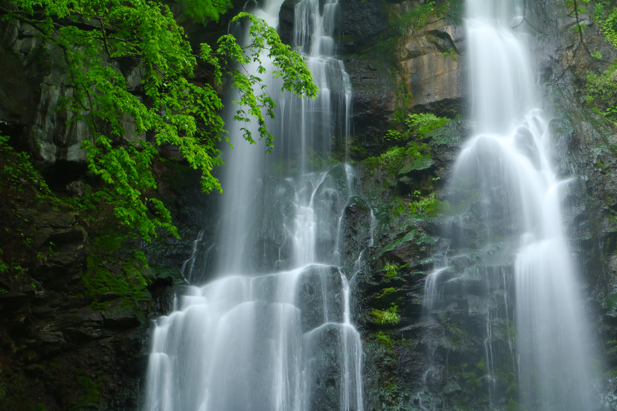 Canon EOS 760D (EOS Rebel T6s / EOS 8000D) sample photo. A waterfall in the rain photography