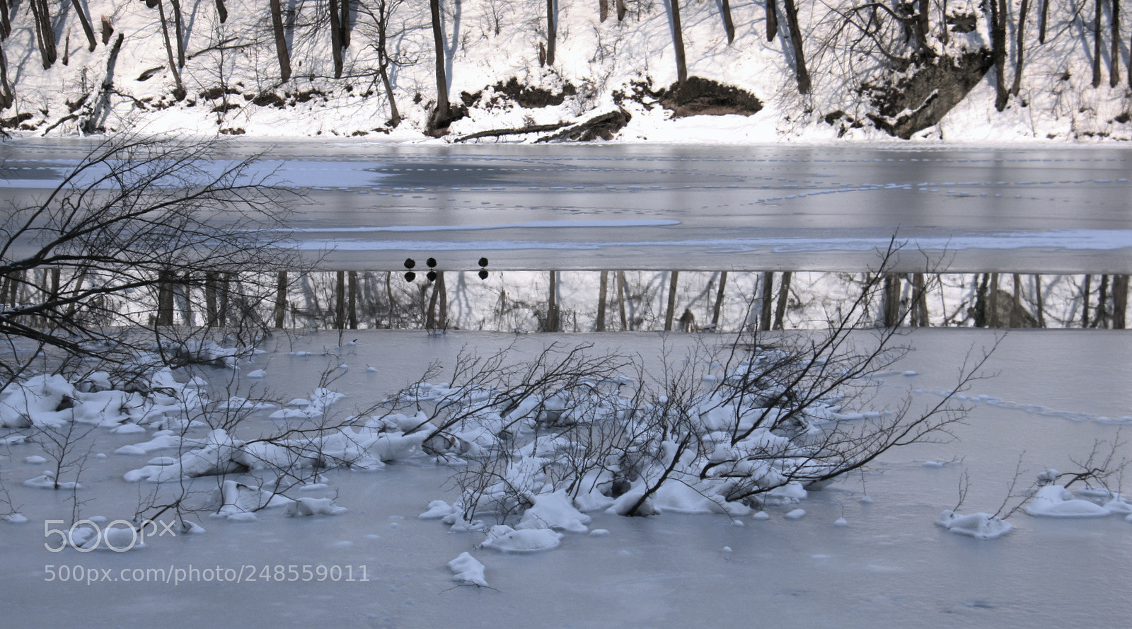 Canon EF-S 18-200mm F3.5-5.6 IS sample photo. Img photography
