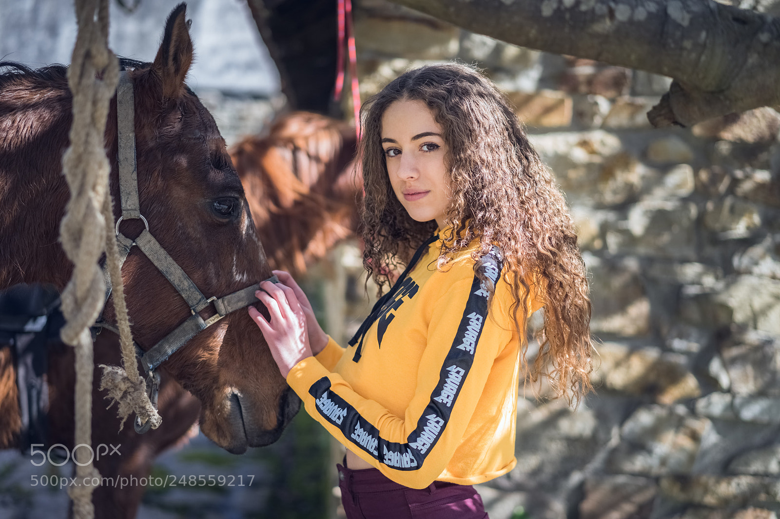 Sony a7 II sample photo. Maria/zollo photography