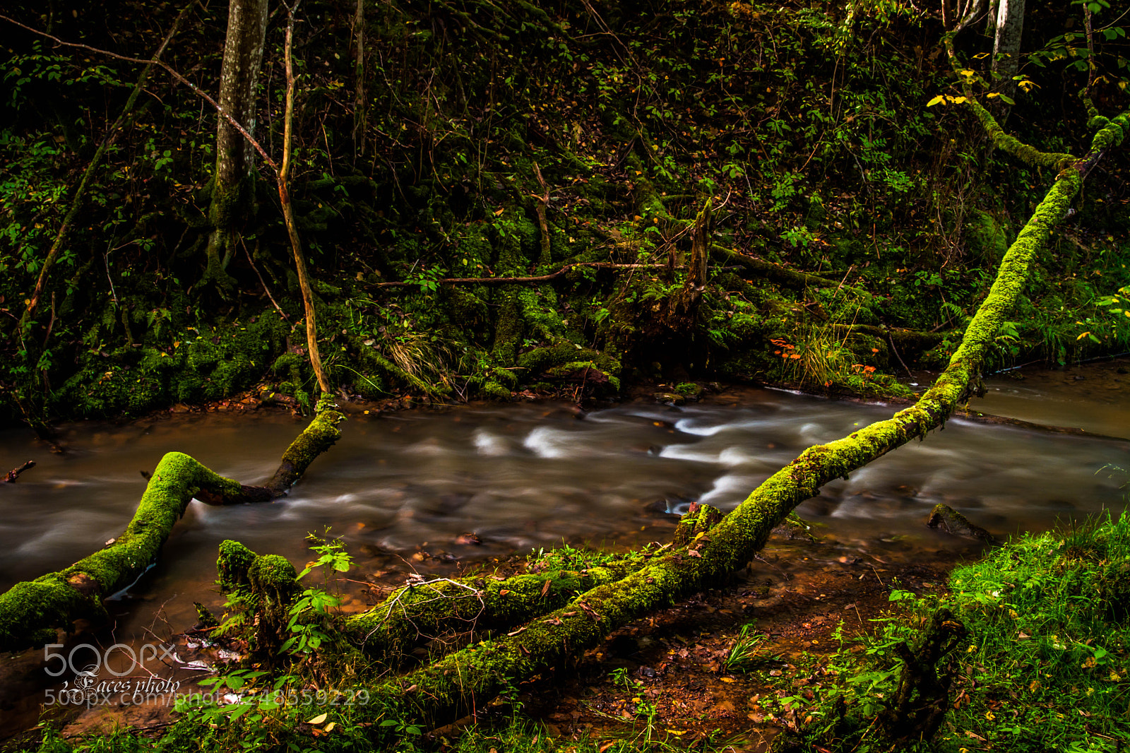 Nikon D7100 sample photo. Small river photography